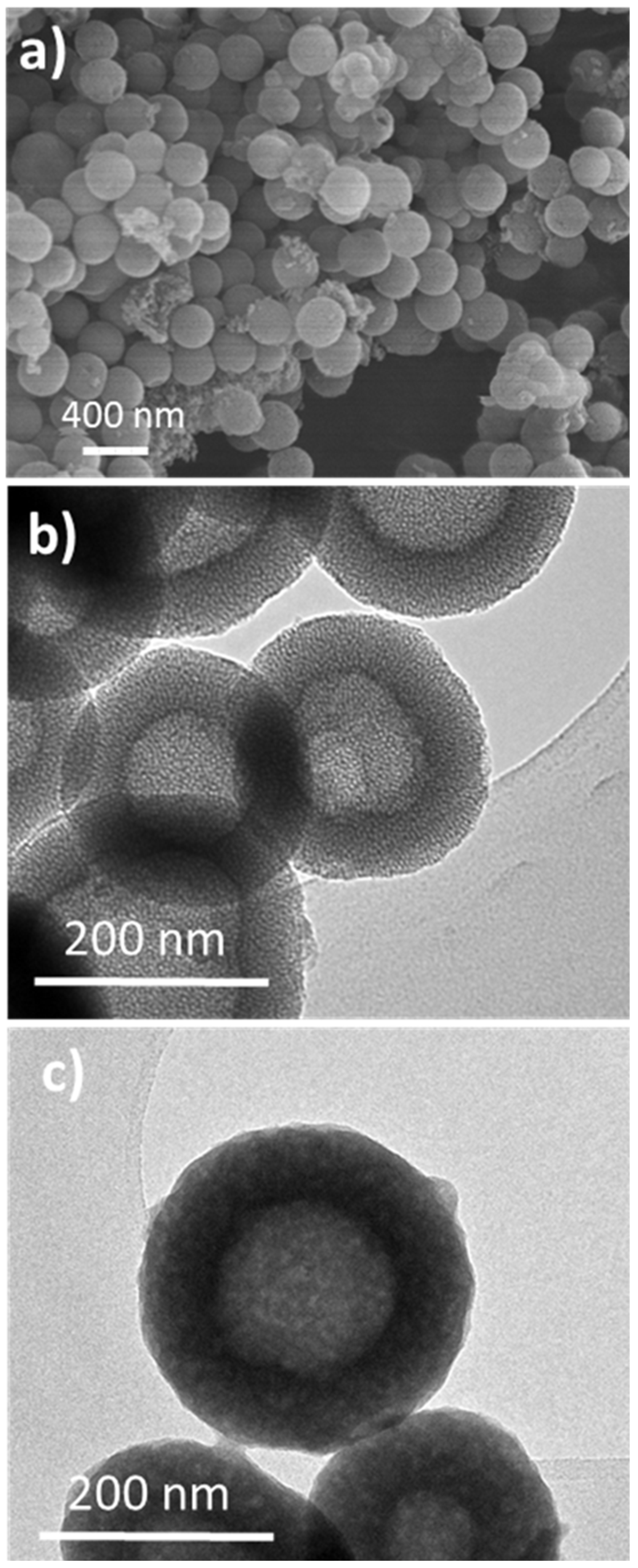 Nanomaterials 11 01102 g001