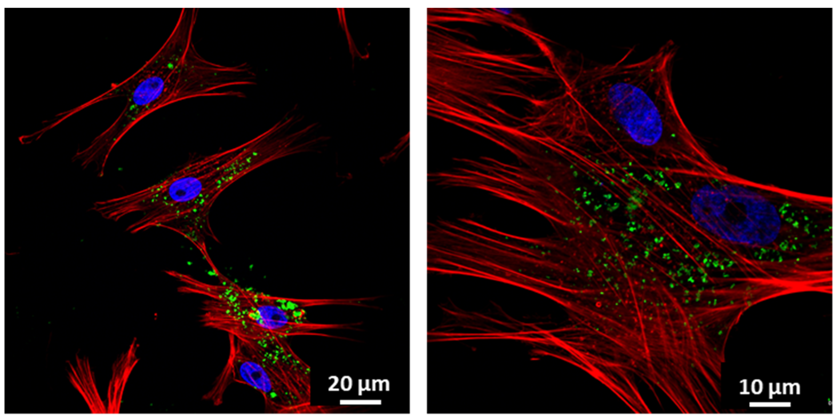Nanomaterials 11 01102 g004