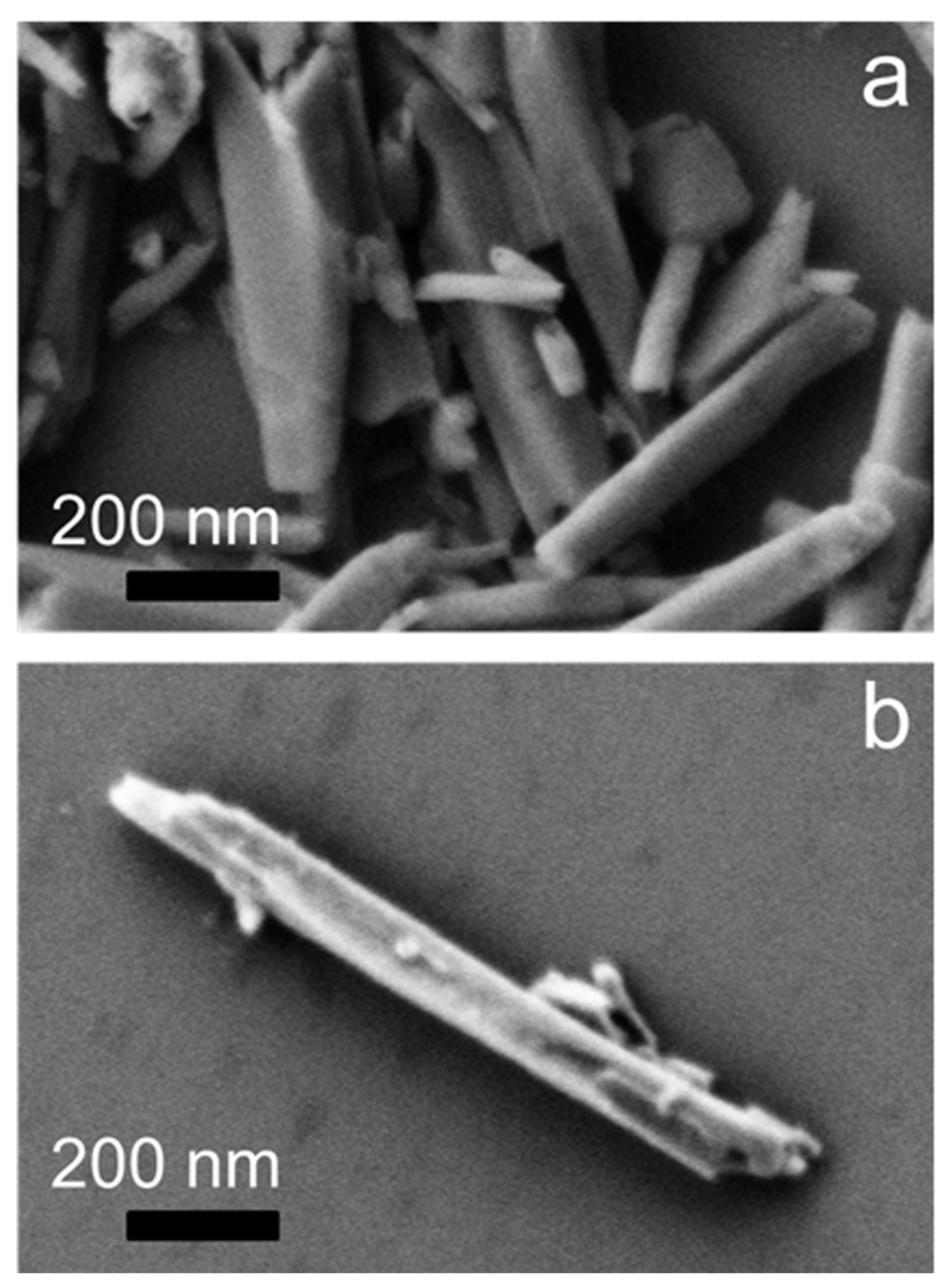 Nanomaterials 11 01103 g004