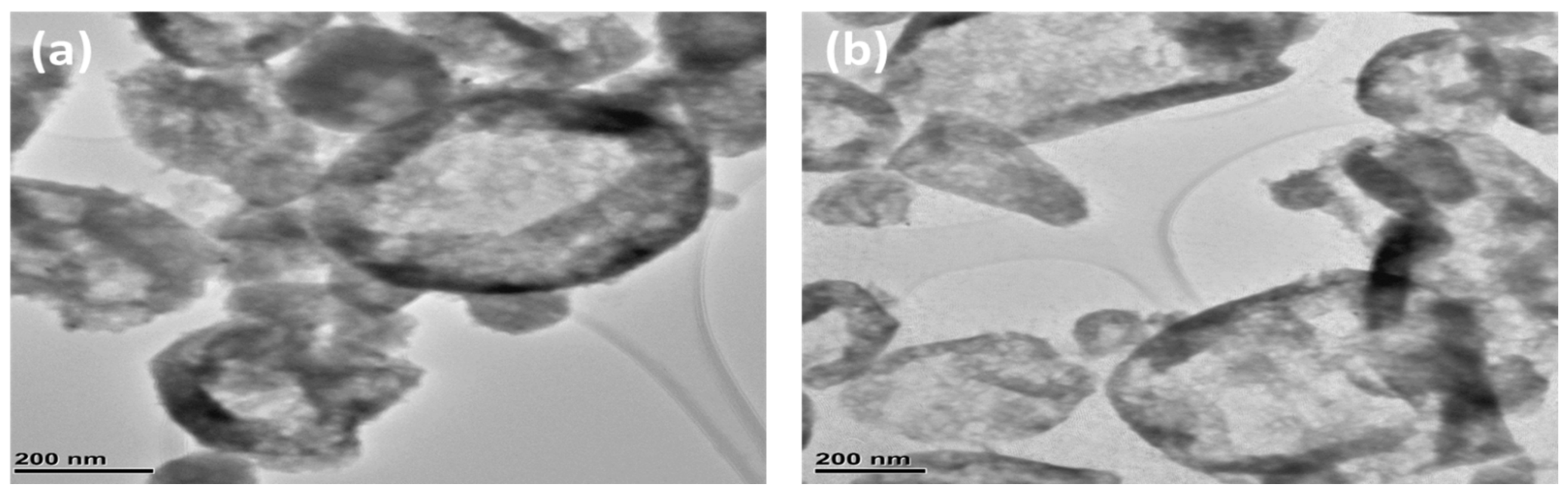 Nanomaterials 11 01105 g004
