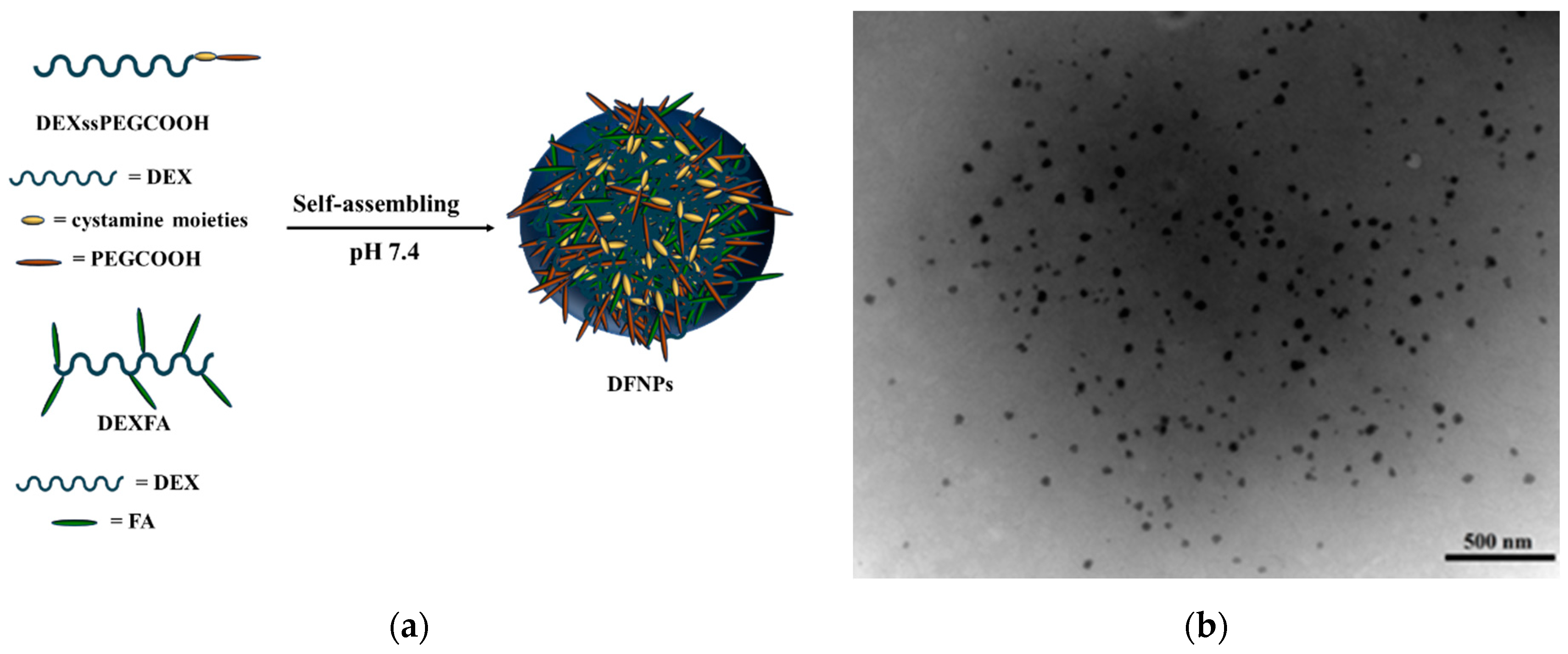 Nanomaterials 11 01108 g005