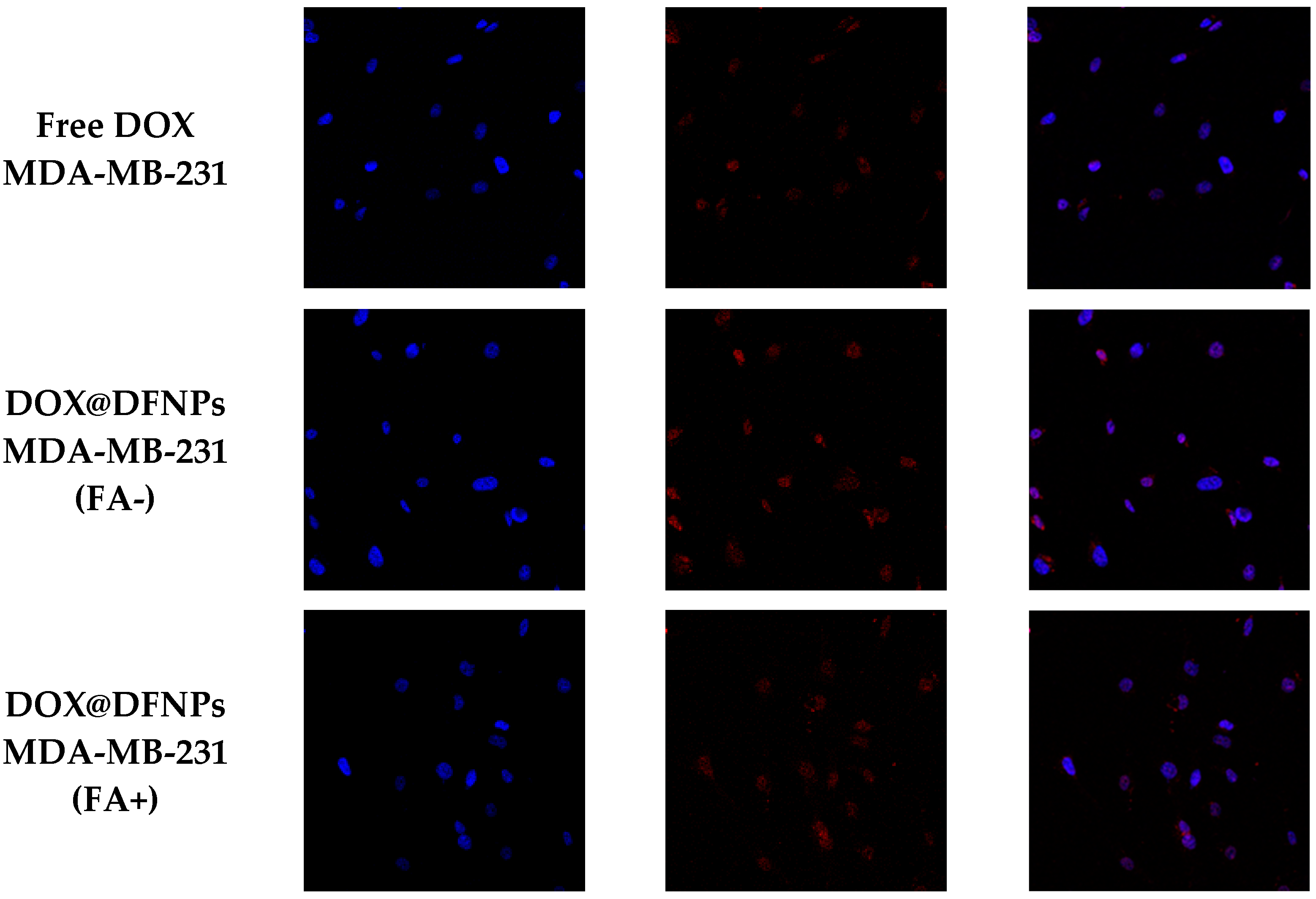 Nanomaterials 11 01108 g010b