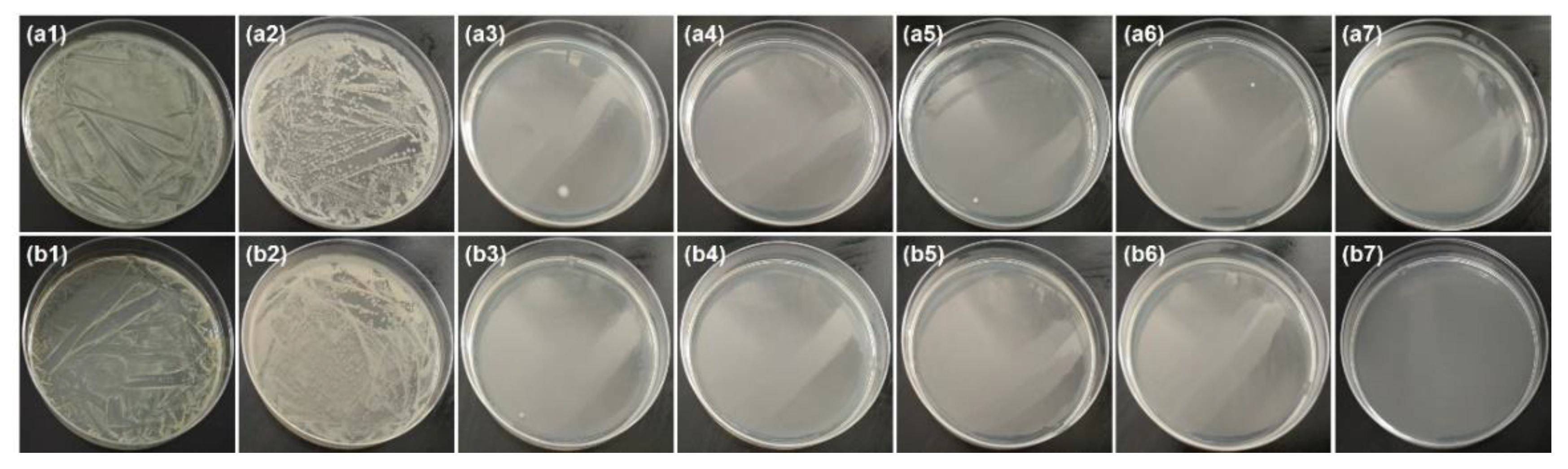Nanomaterials 11 01111 g007