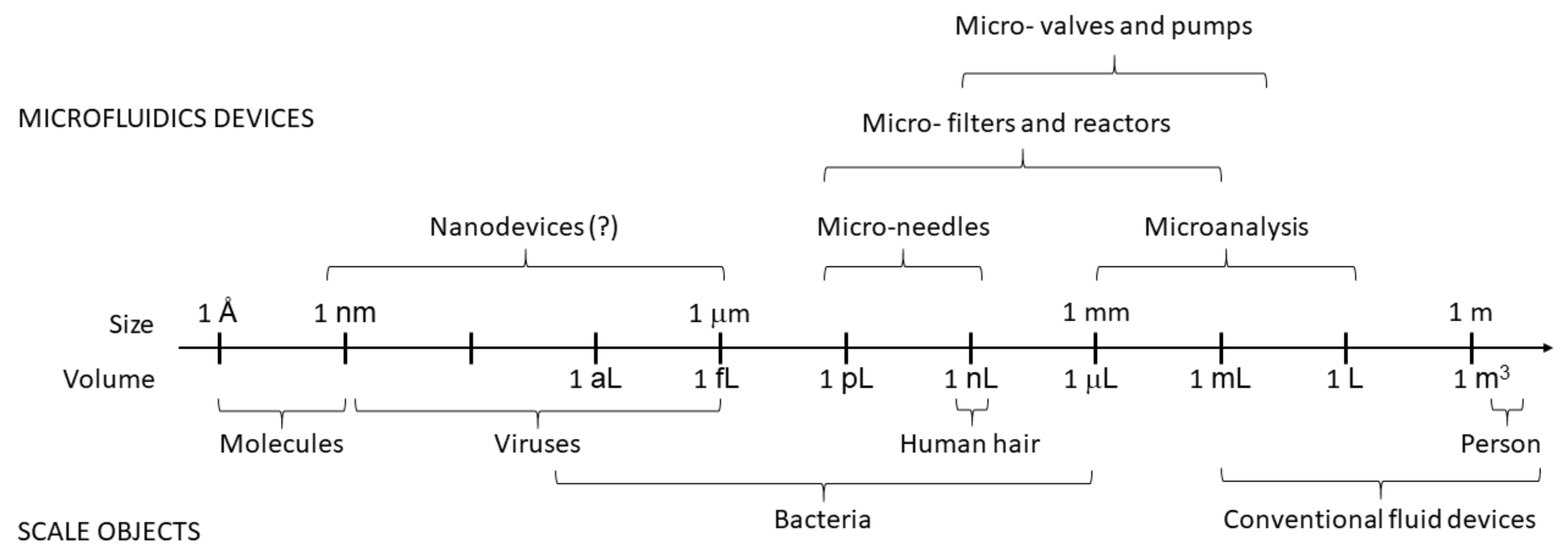 Nanomaterials 11 01118 g001