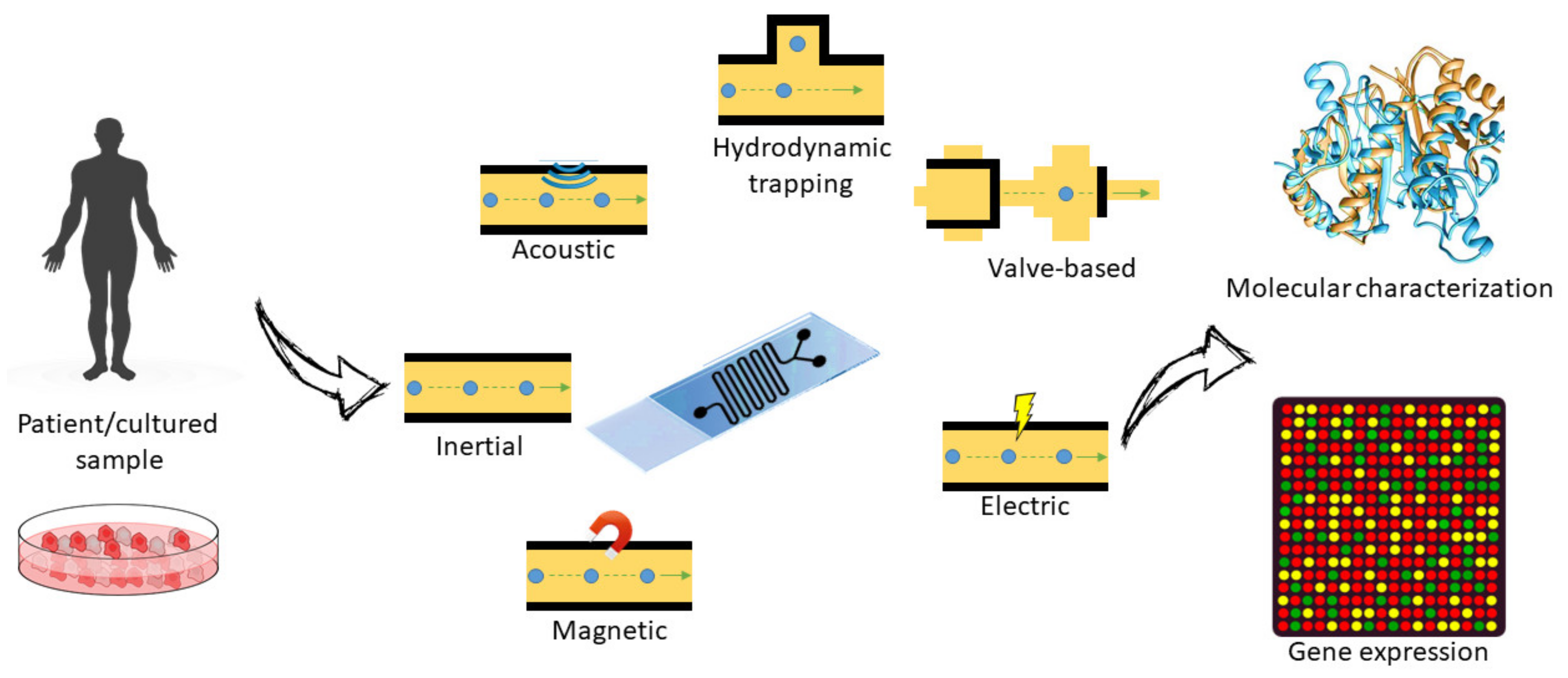 Nanomaterials 11 01118 g003