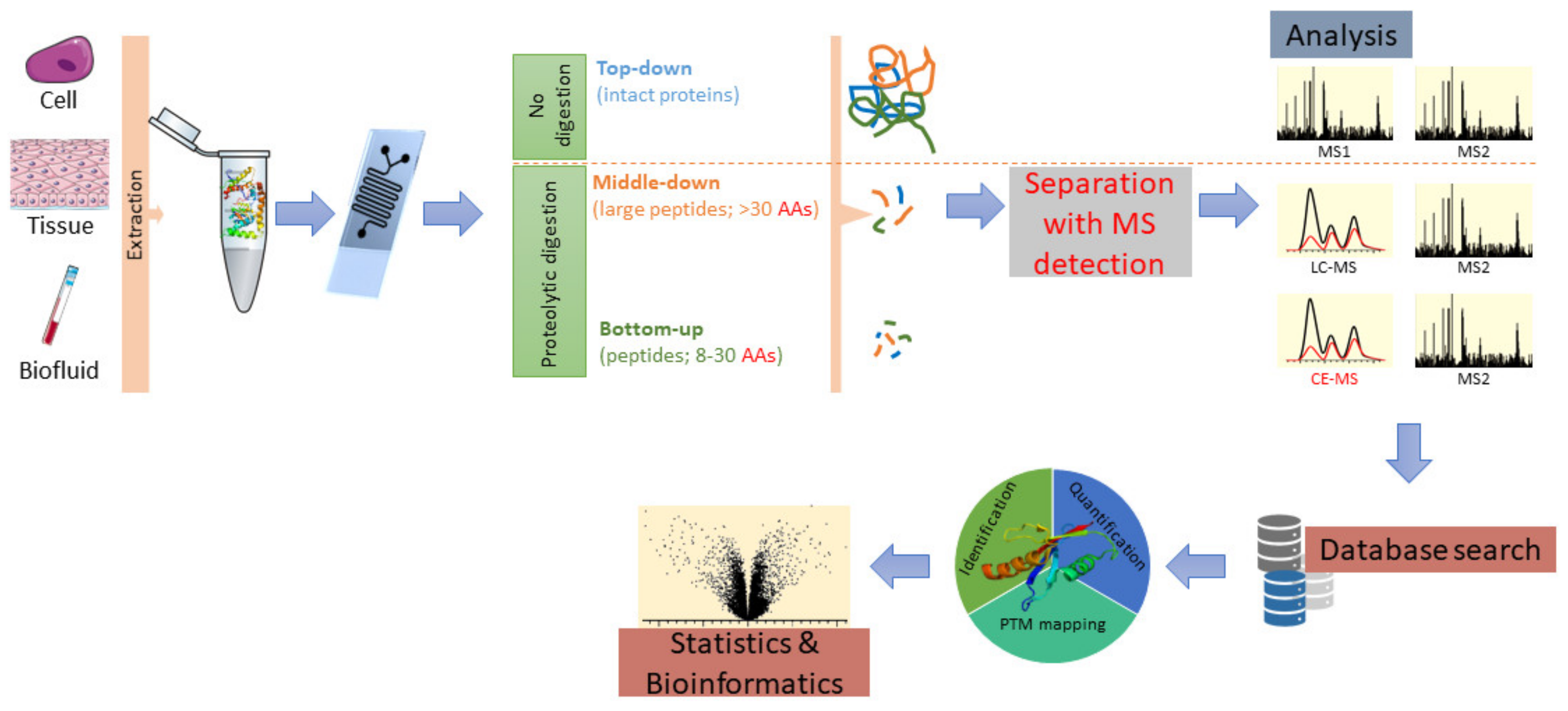 Nanomaterials 11 01118 g004