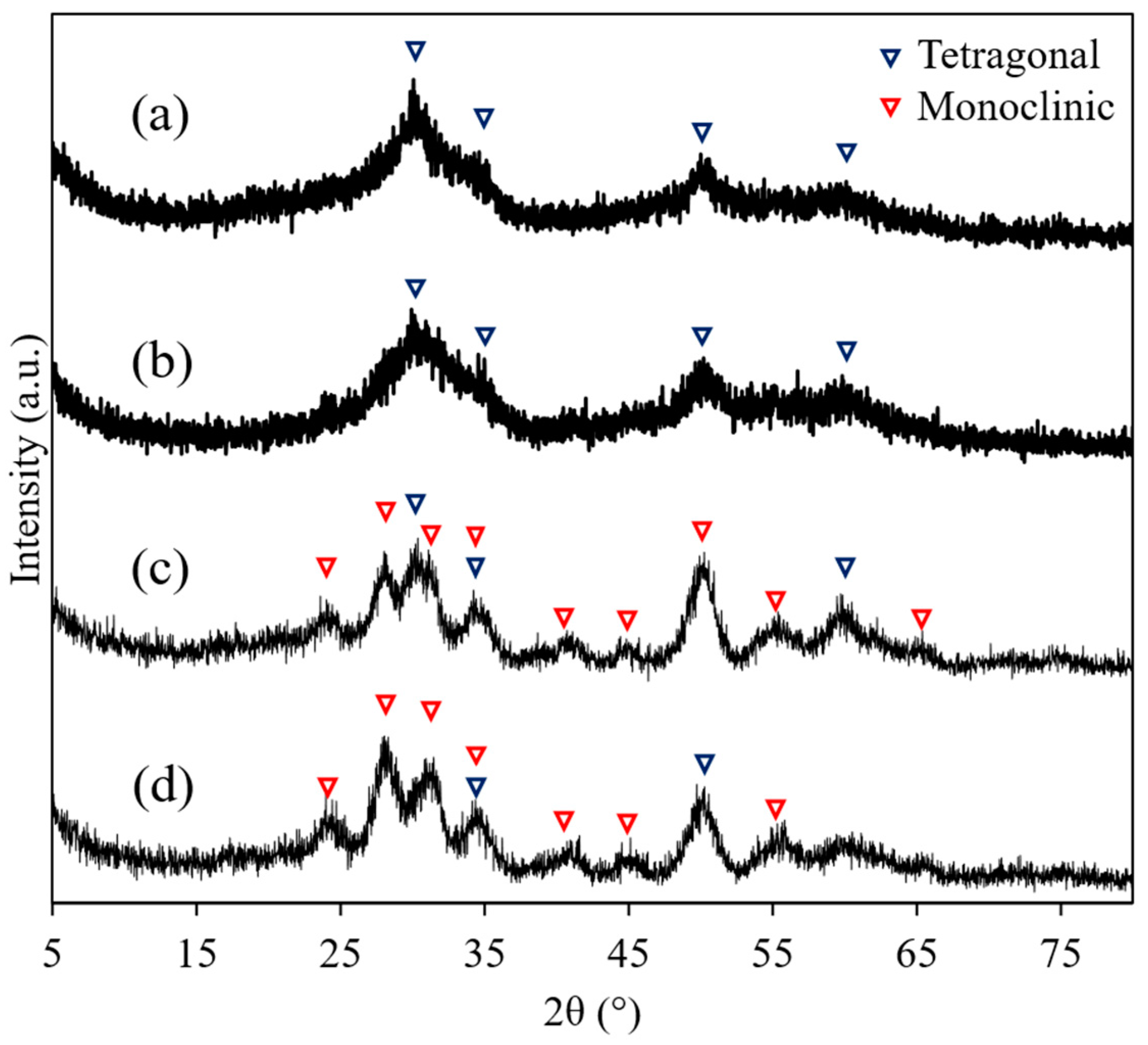 Nanomaterials 11 01124 g001