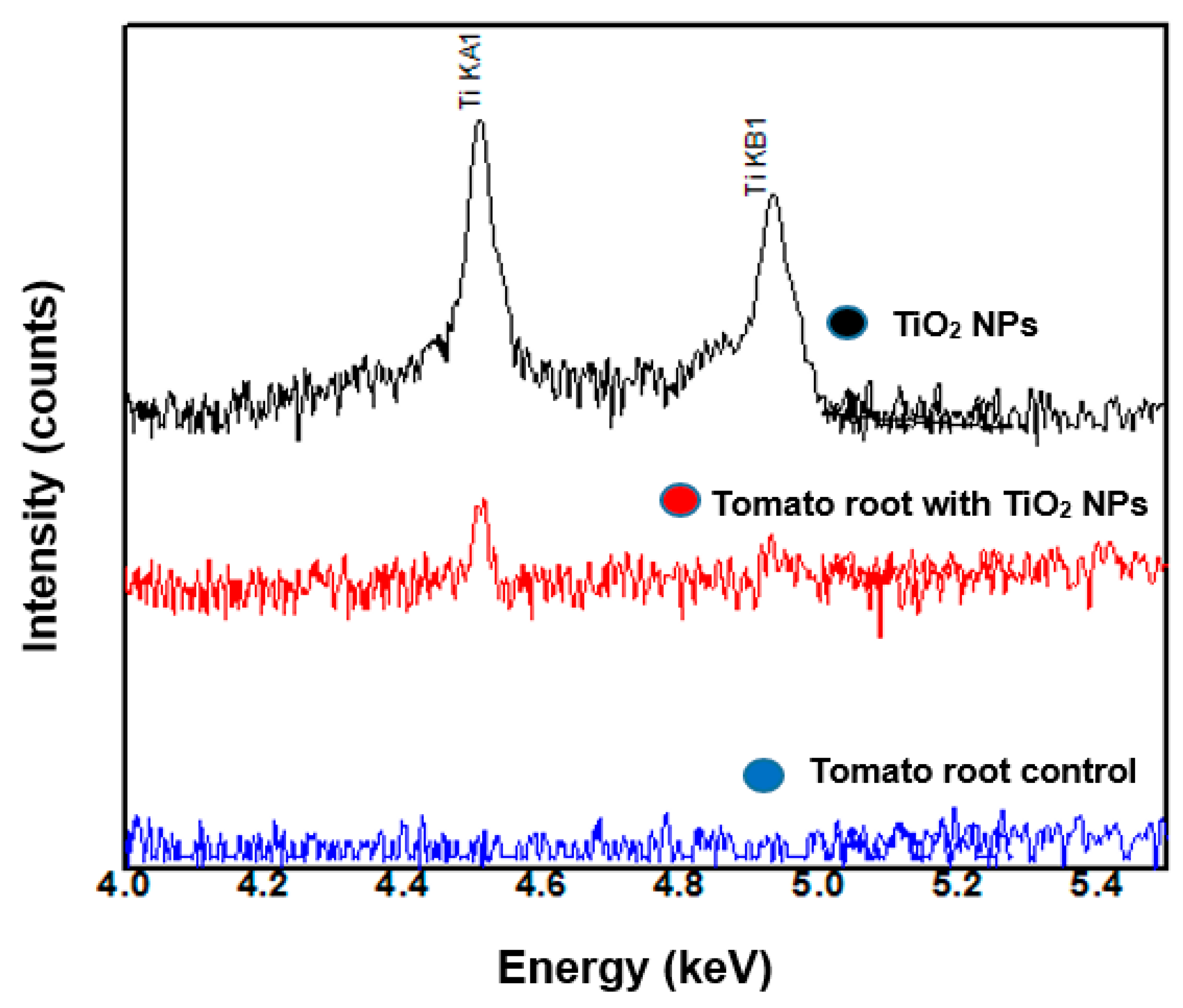 Nanomaterials 11 01127 g004 Nanomaterials 11 01127 g004
