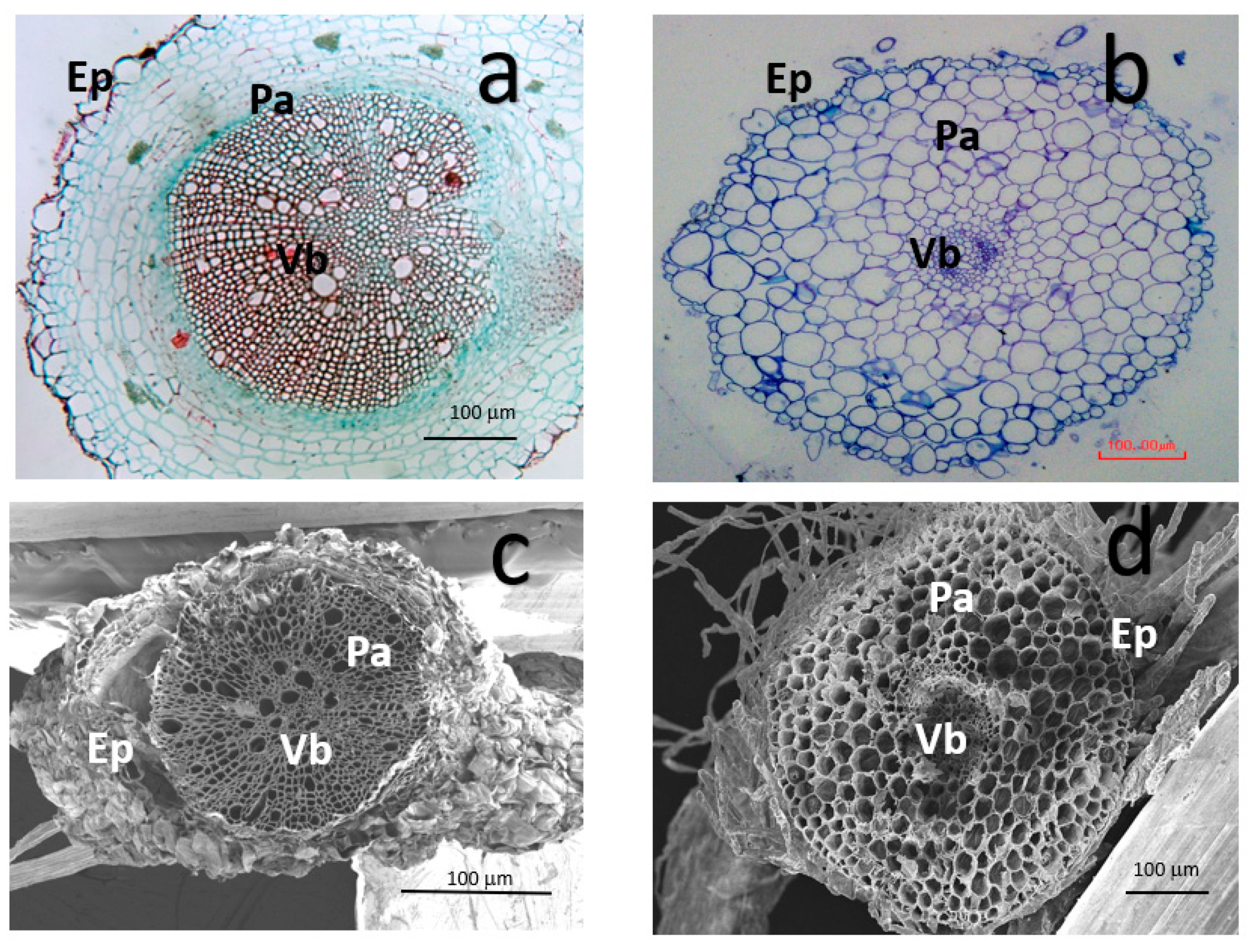 Nanomaterials 11 01127 g006 Nanomaterials 11 01127 g006