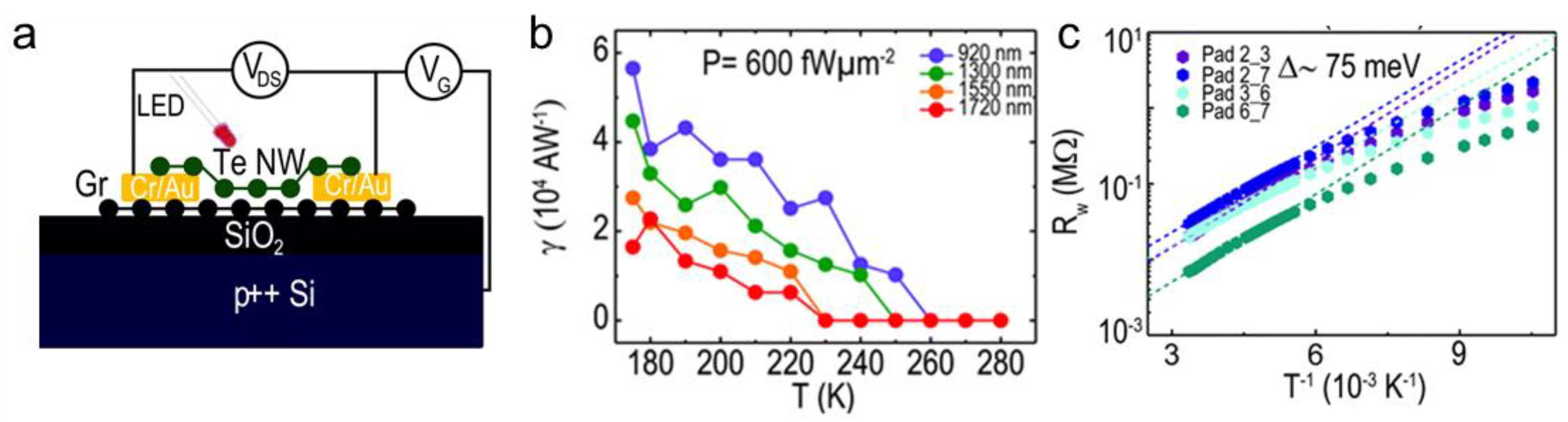 Nanomaterials 11 01131 g006 Nanomaterials 11 01131 g006