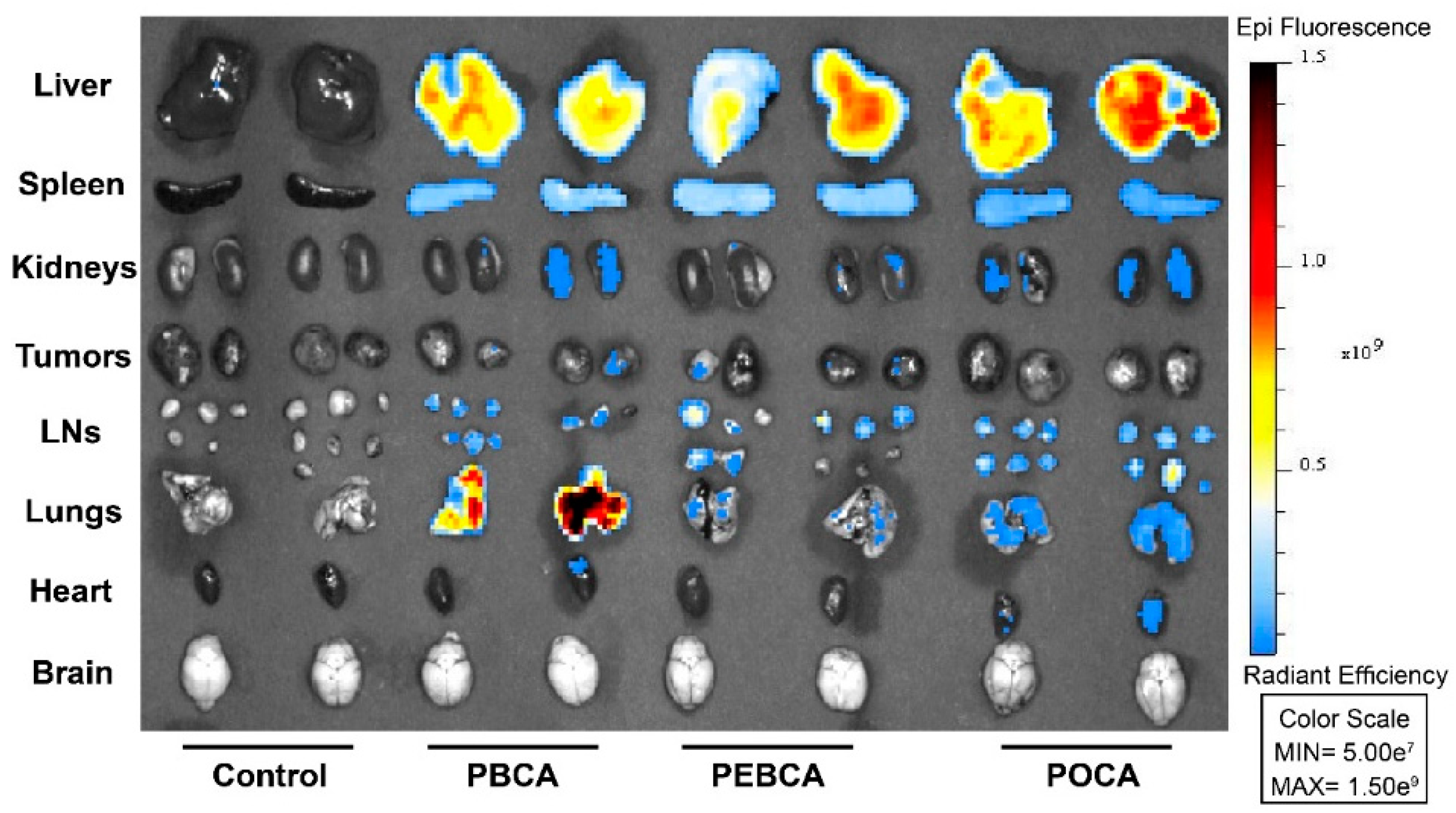 Nanomaterials 11 01140 g001 Nanomaterials 11 01140 g001