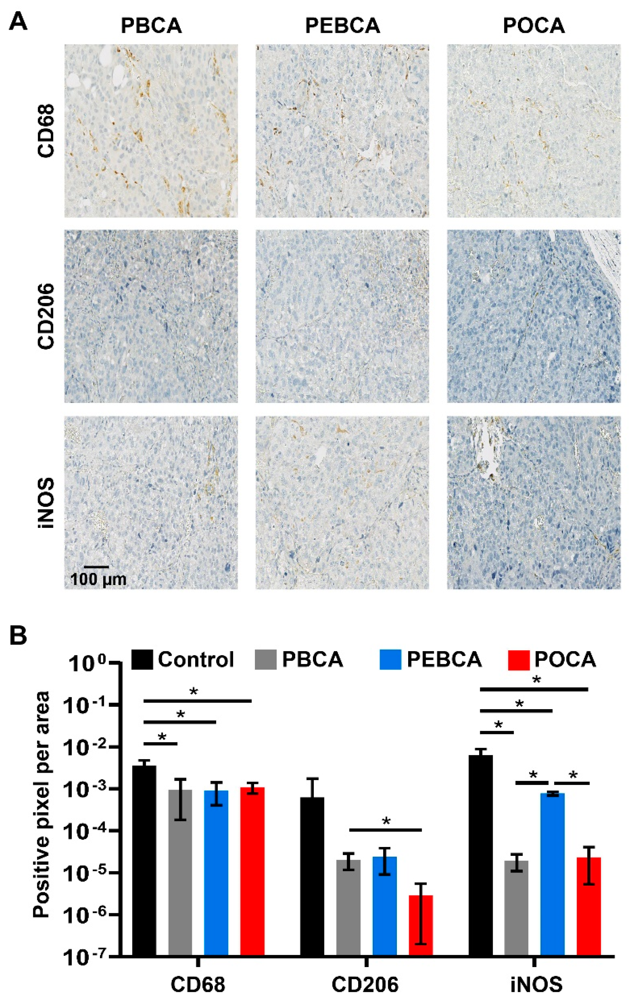 Nanomaterials 11 01140 g004 Nanomaterials 11 01140 g004
