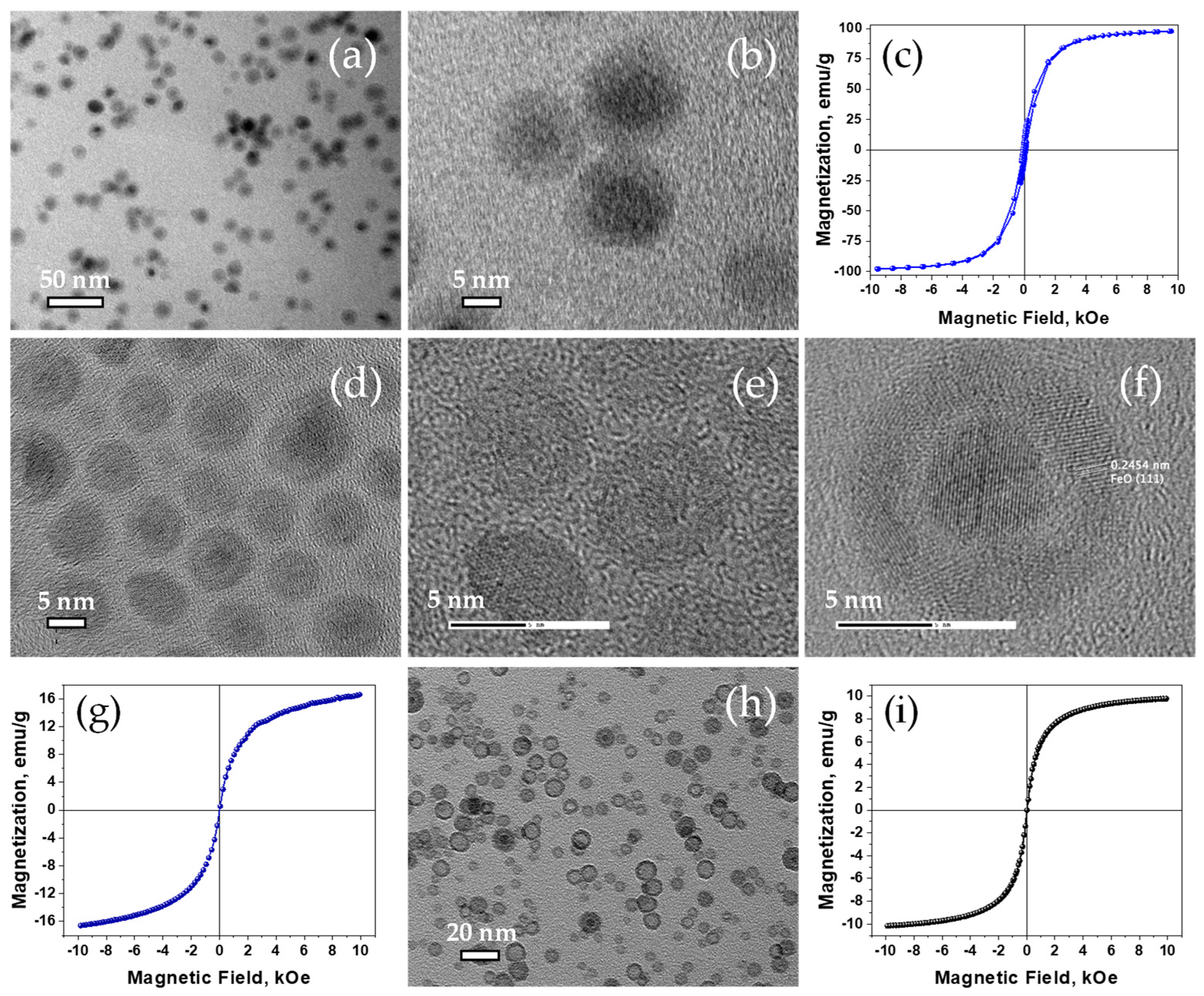 Nanomaterials 11 01141 g004 Nanomaterials 11 01141 g004