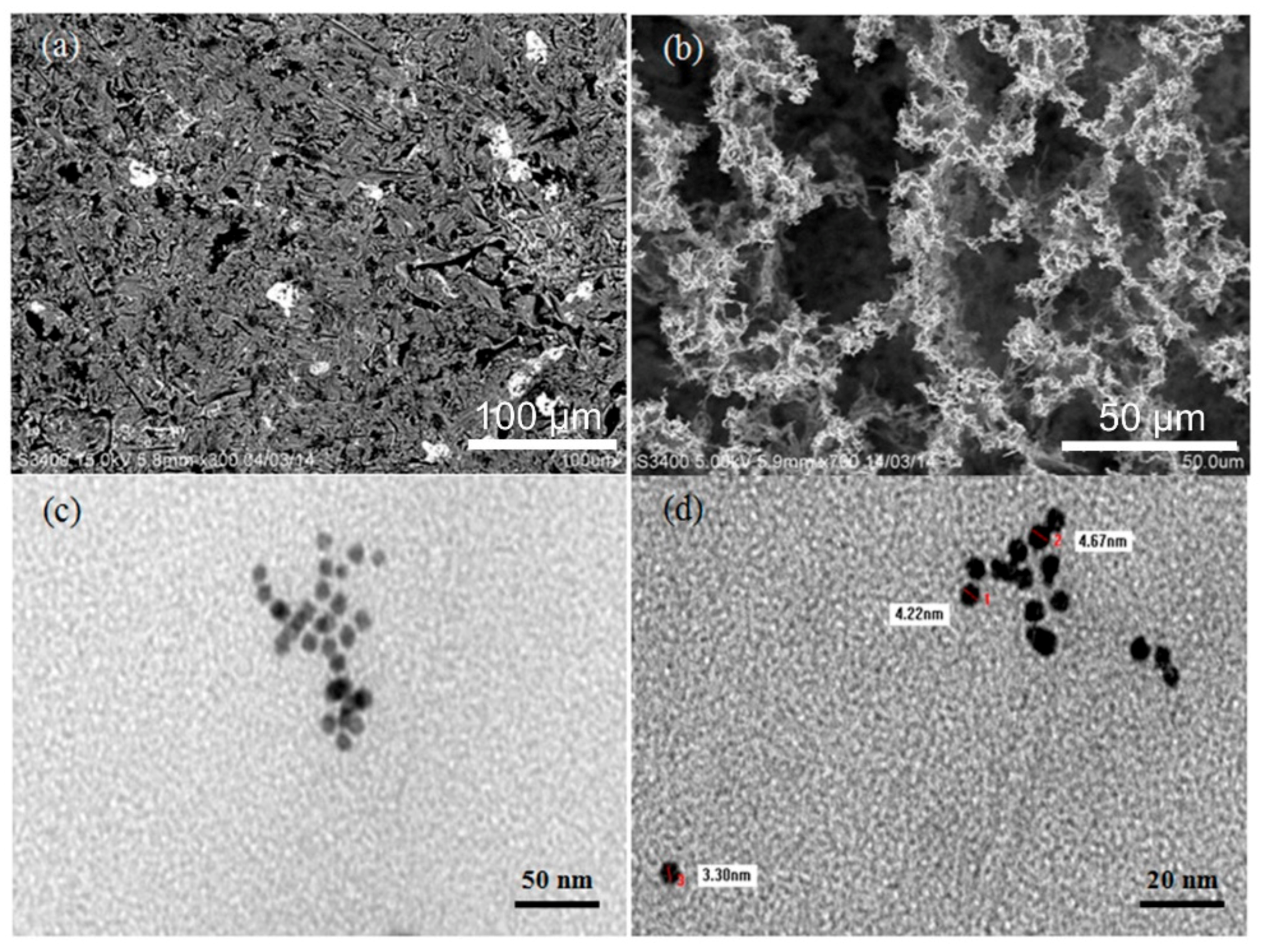 Nanomaterials 11 01142 g001