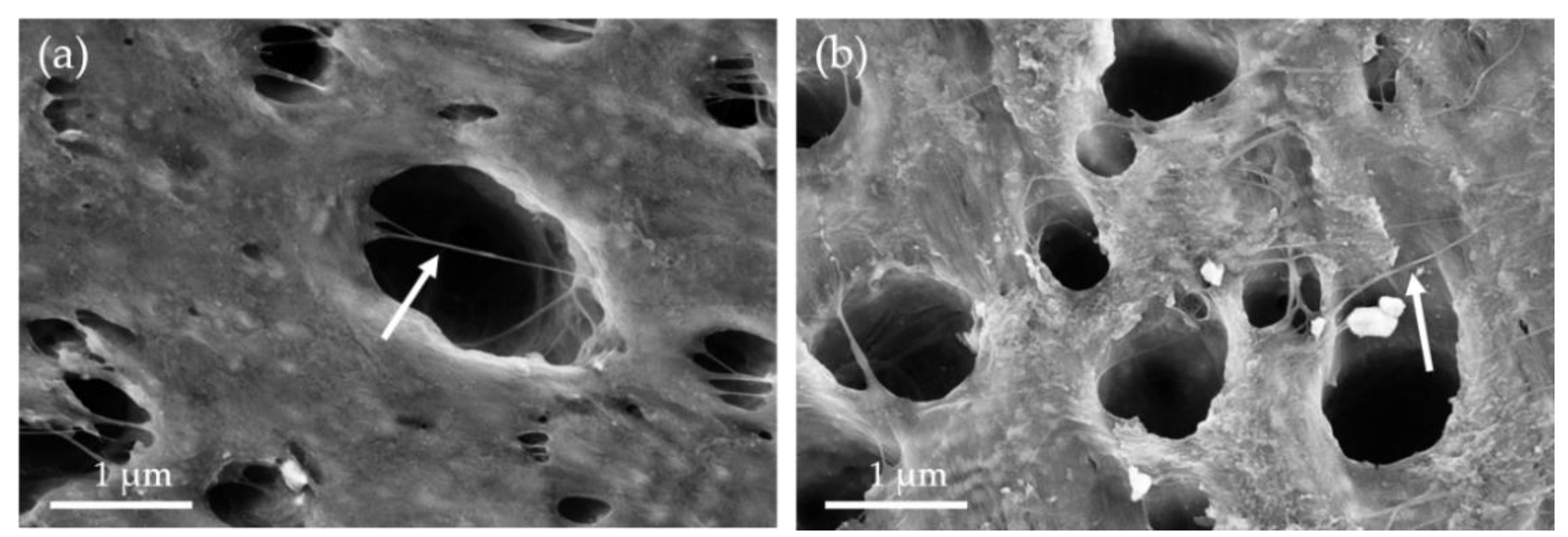 Nanomaterials 11 01146 g009 Nanomaterials 11 01146 g009