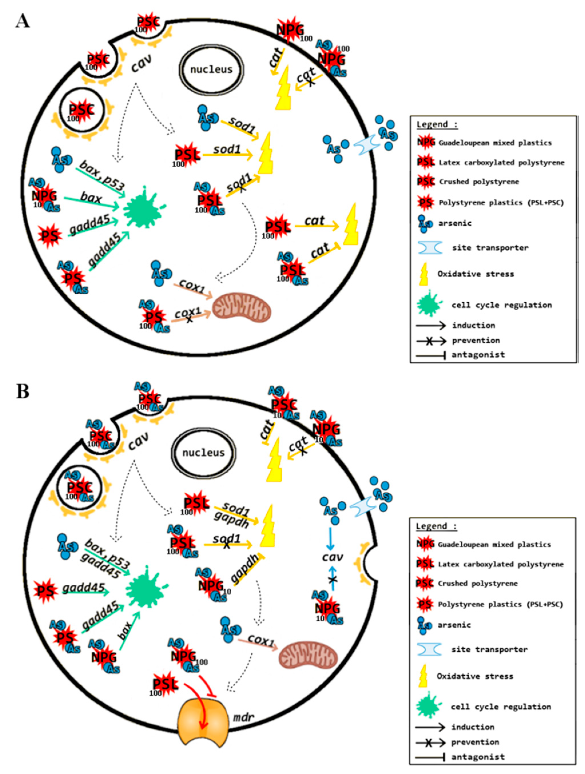 Nanomaterials 11 01151 g004