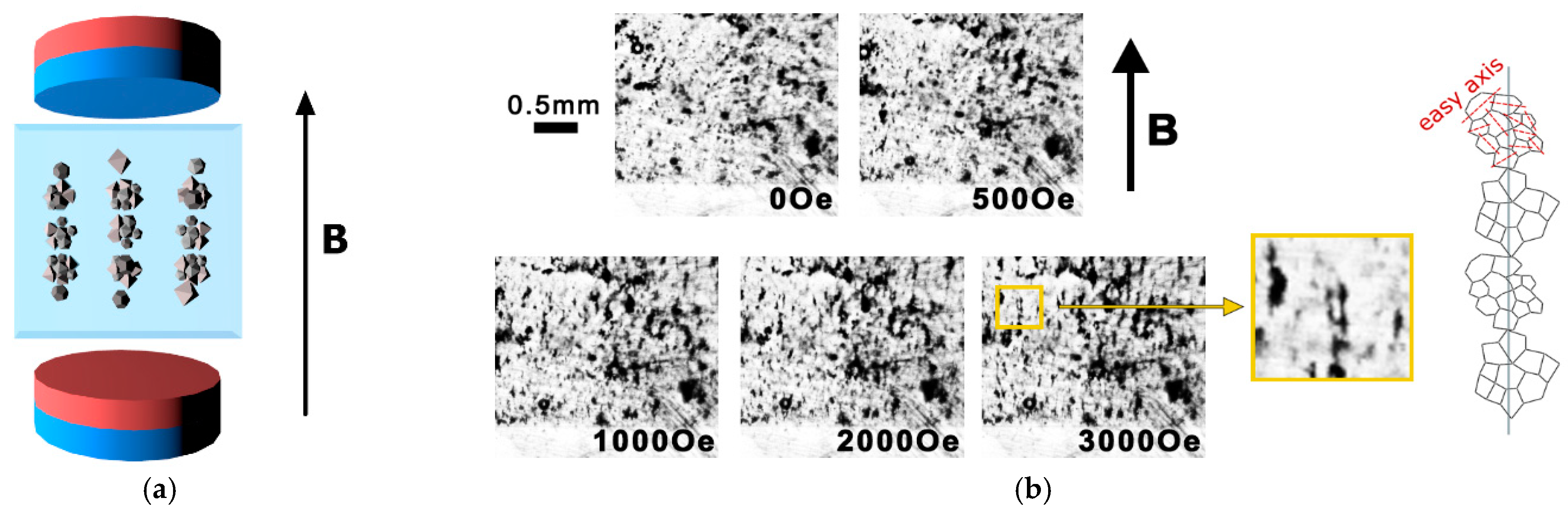 Nanomaterials 11 01154 g001 Nanomaterials 11 01154 g001