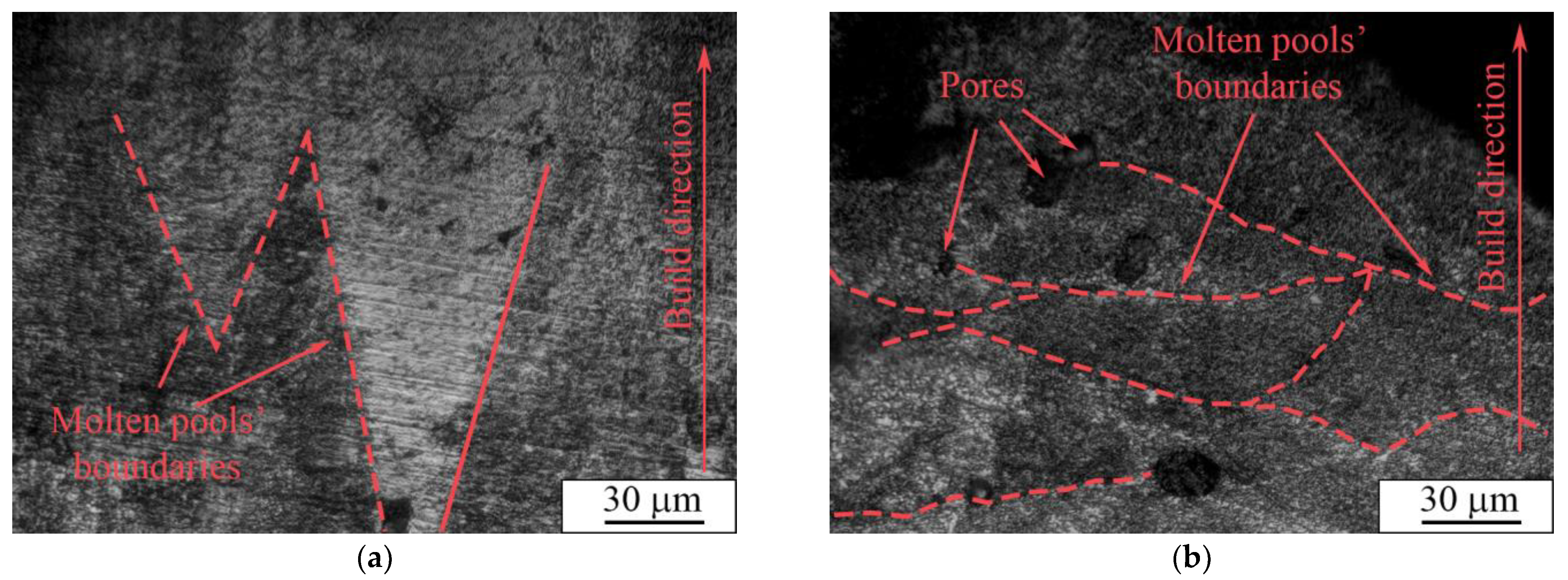 Nanomaterials 11 01159 g012
