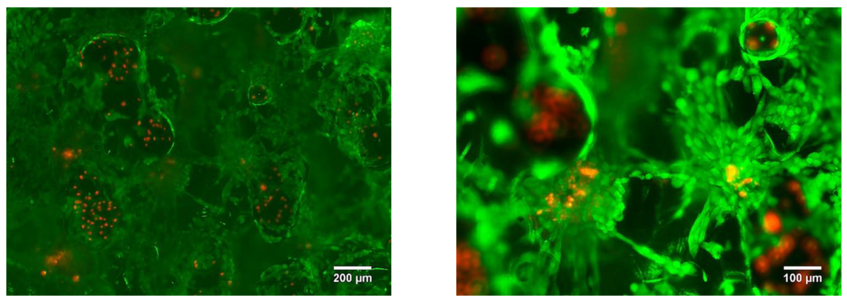 Nanomaterials 11 01159 g019
