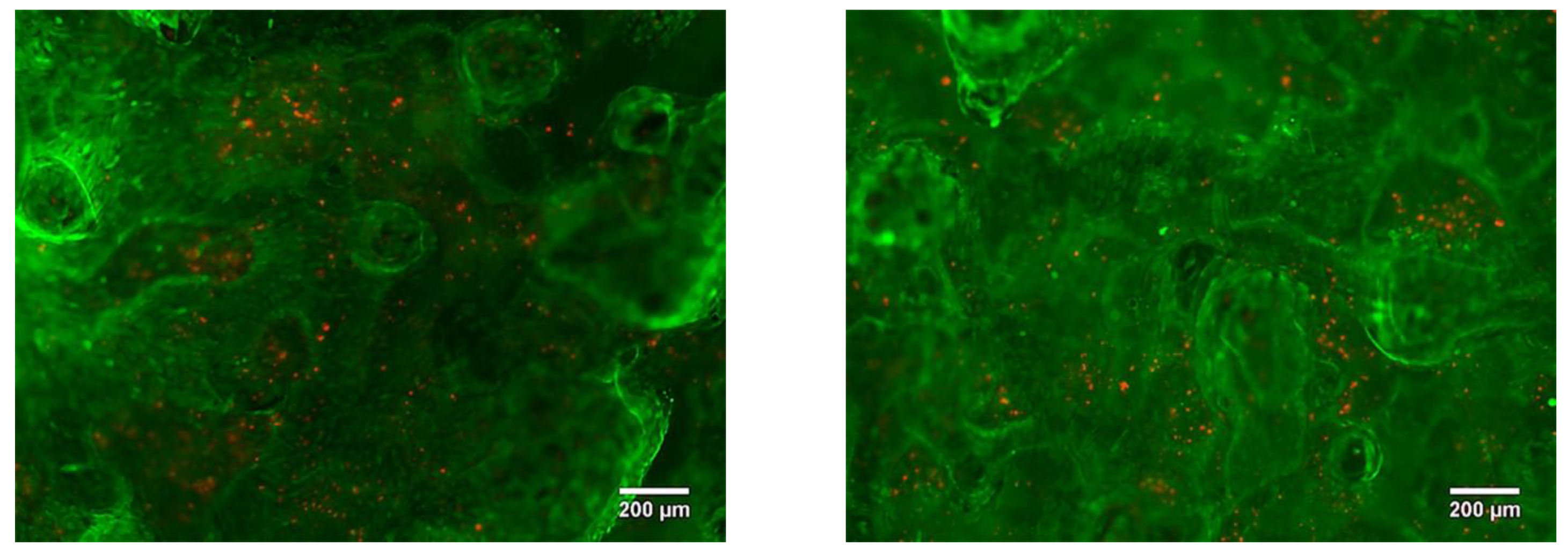 Nanomaterials 11 01159 g020