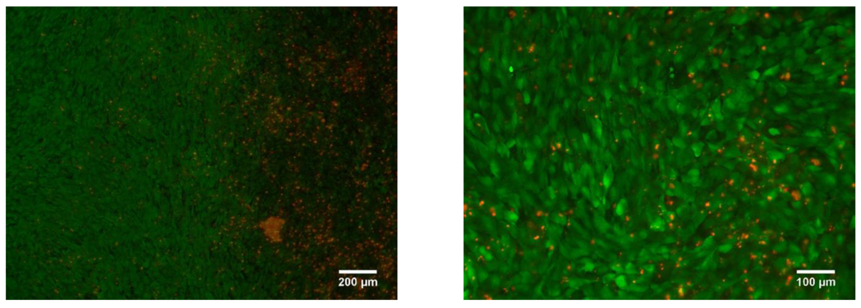 Nanomaterials 11 01159 g021
