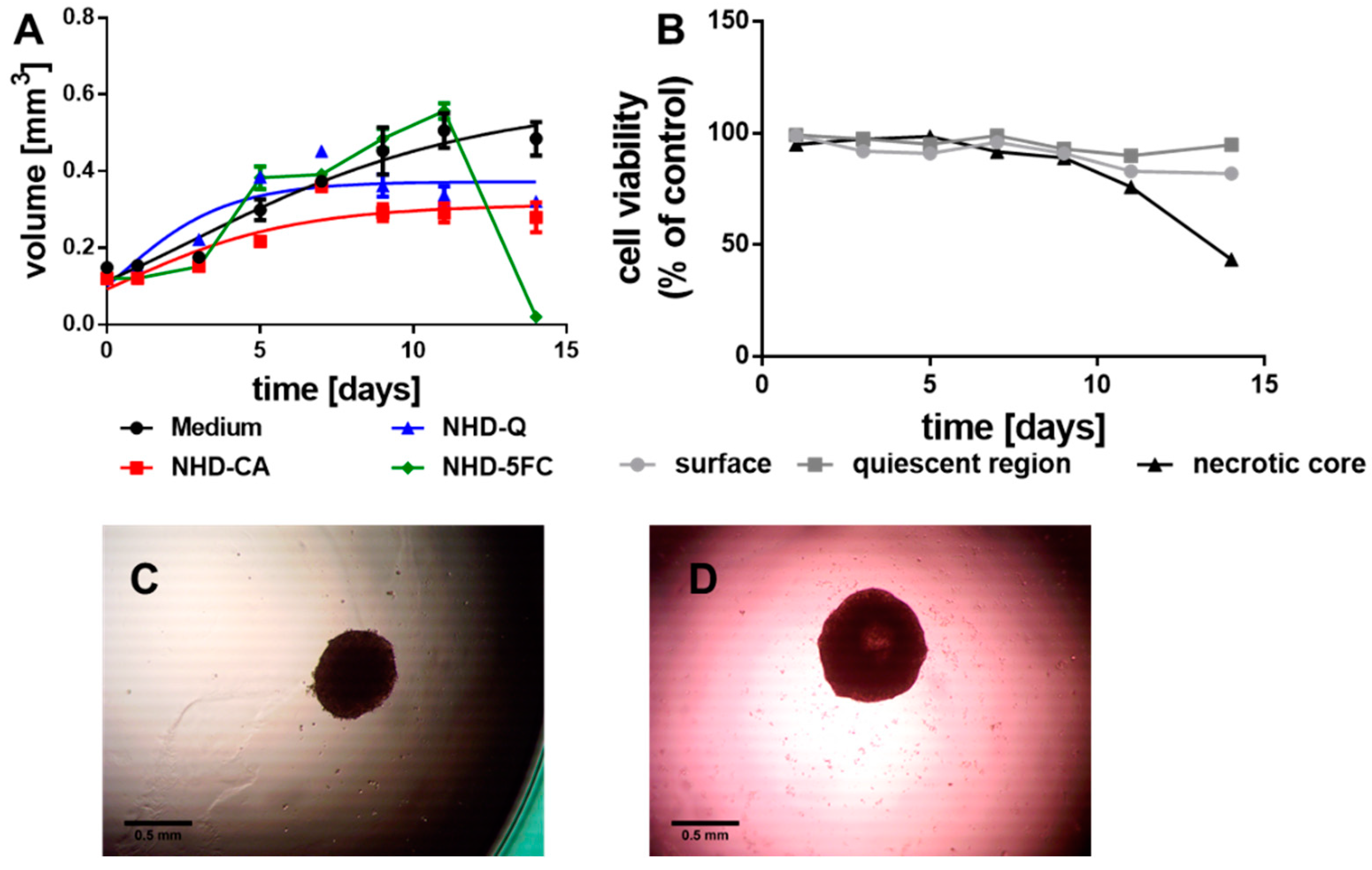 Nanomaterials 11 01167 g003 Nanomaterials 11 01167 g003