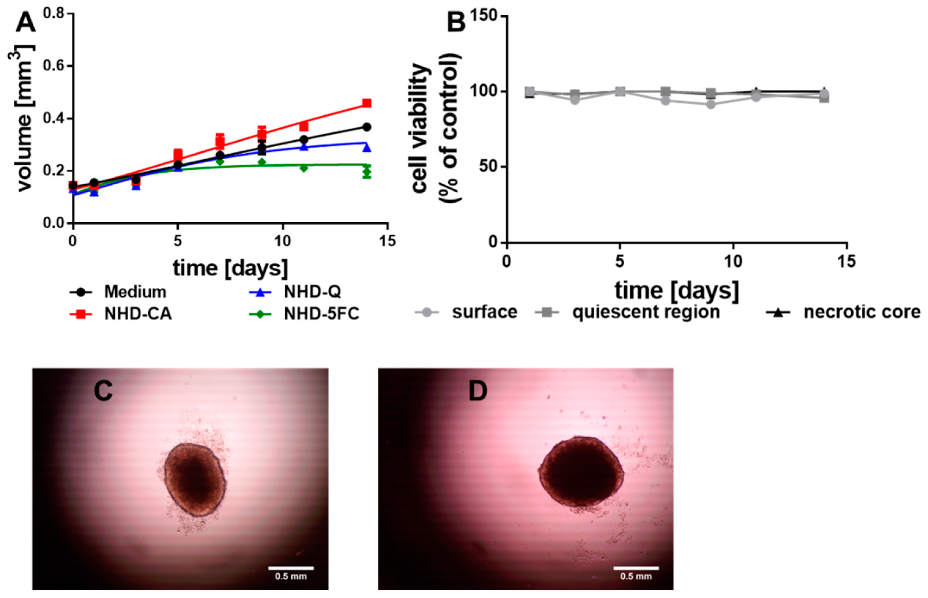 Nanomaterials 11 01167 g004 Nanomaterials 11 01167 g004