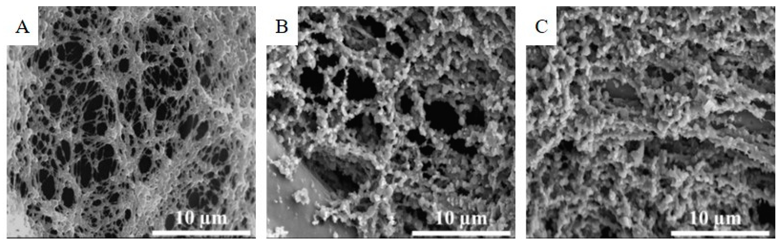 Nanomaterials 11 01172 g001 Nanomaterials 11 01172 g001