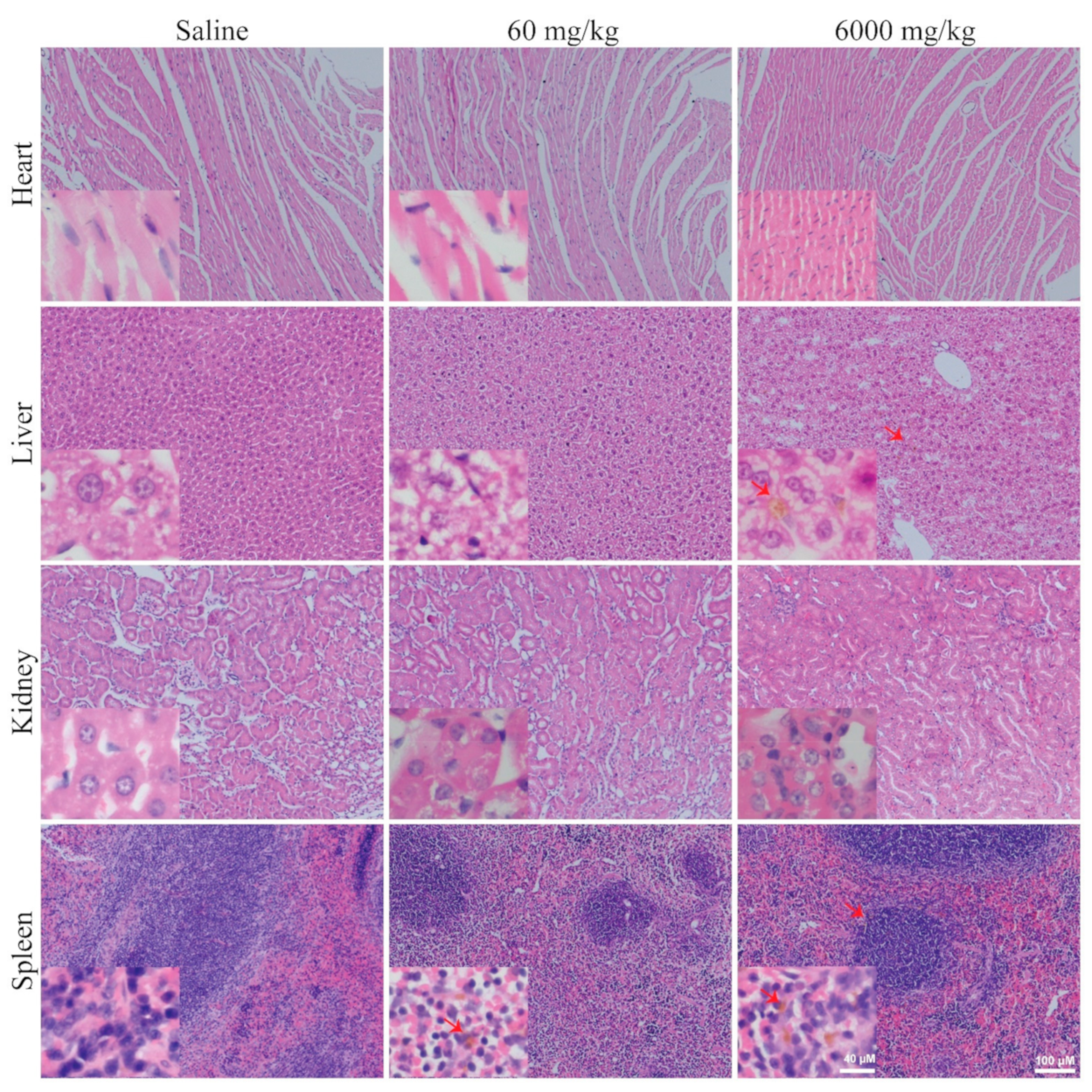 Nanomaterials 11 01176 g006 Nanomaterials 11 01176 g006