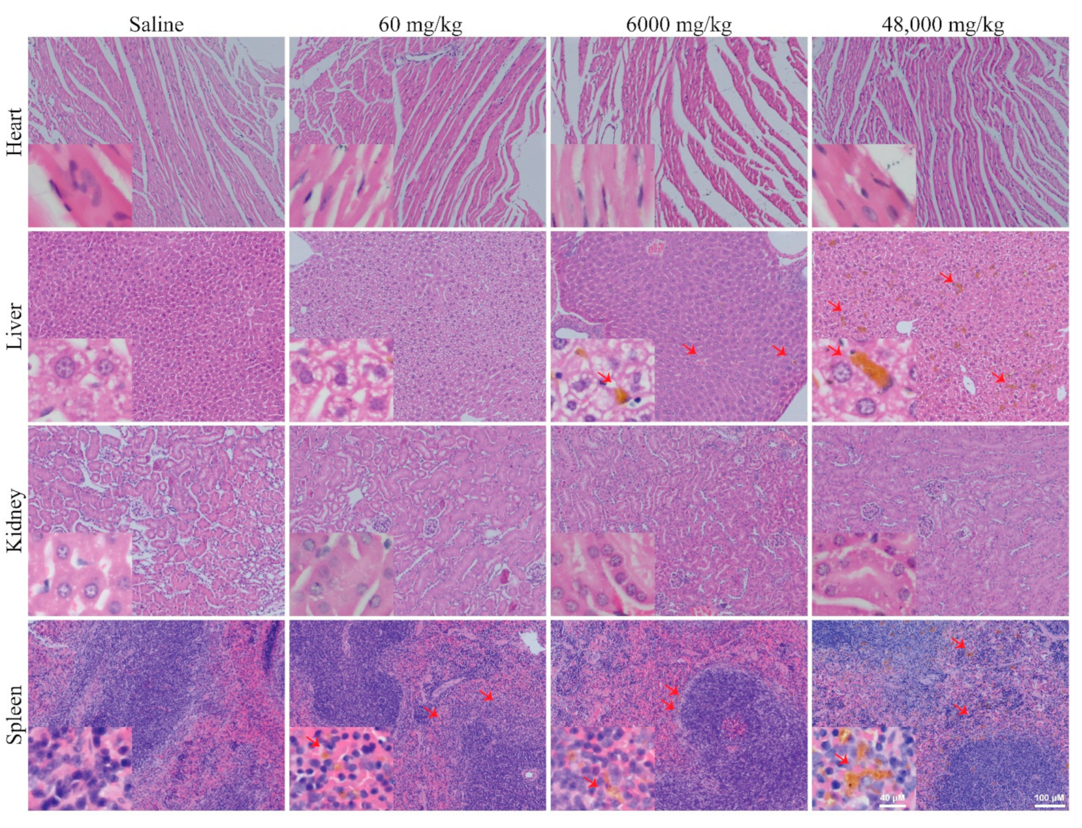 Nanomaterials 11 01176 g009 Nanomaterials 11 01176 g009