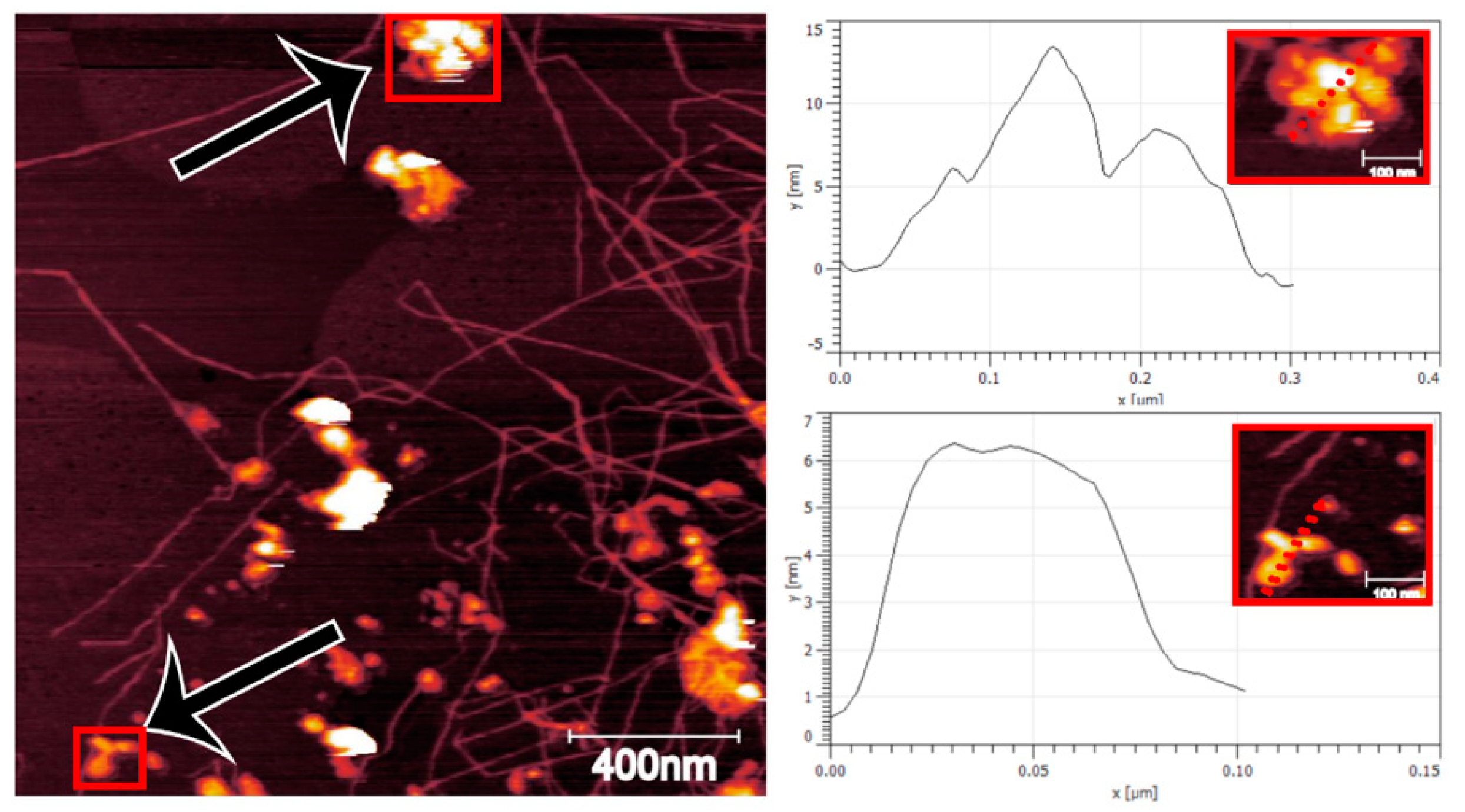 Nanomaterials 11 01179 g003 Nanomaterials 11 01179 g003