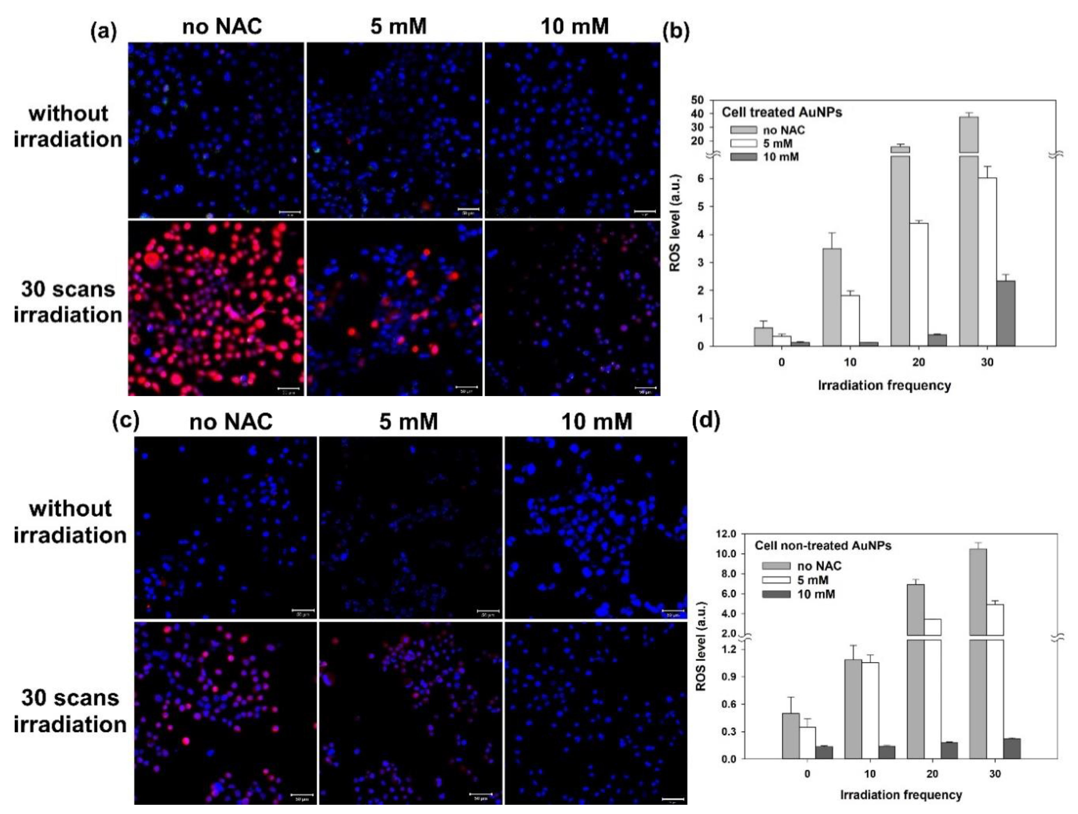 Nanomaterials 11 01180 g004 Nanomaterials 11 01180 g004