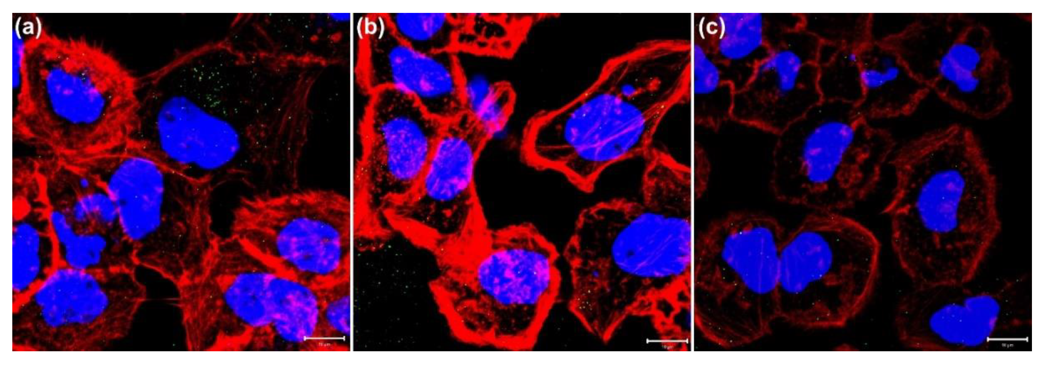 Nanomaterials 11 01180 g005 Nanomaterials 11 01180 g005