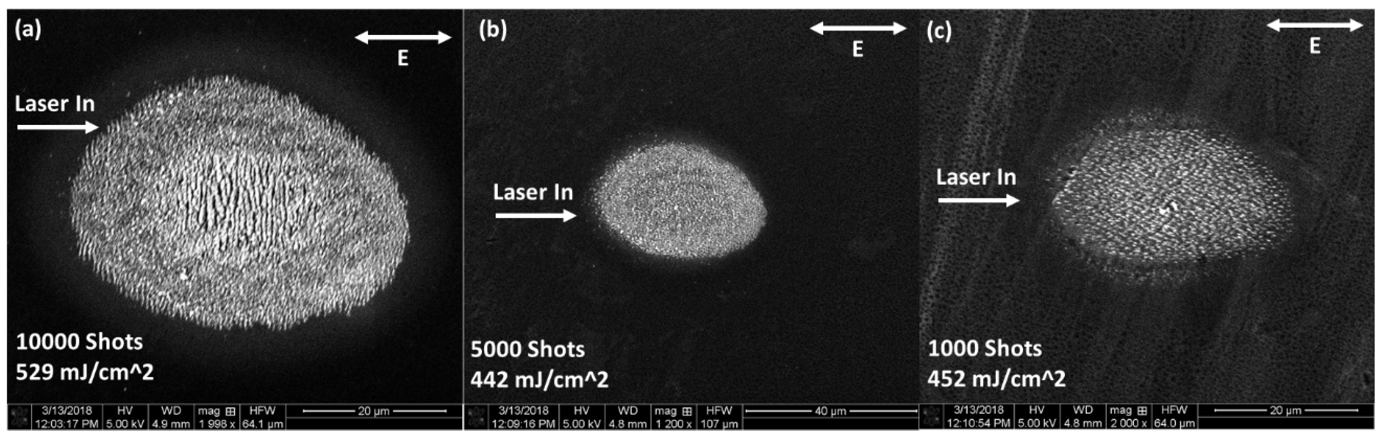 Nanomaterials 11 01192 g002