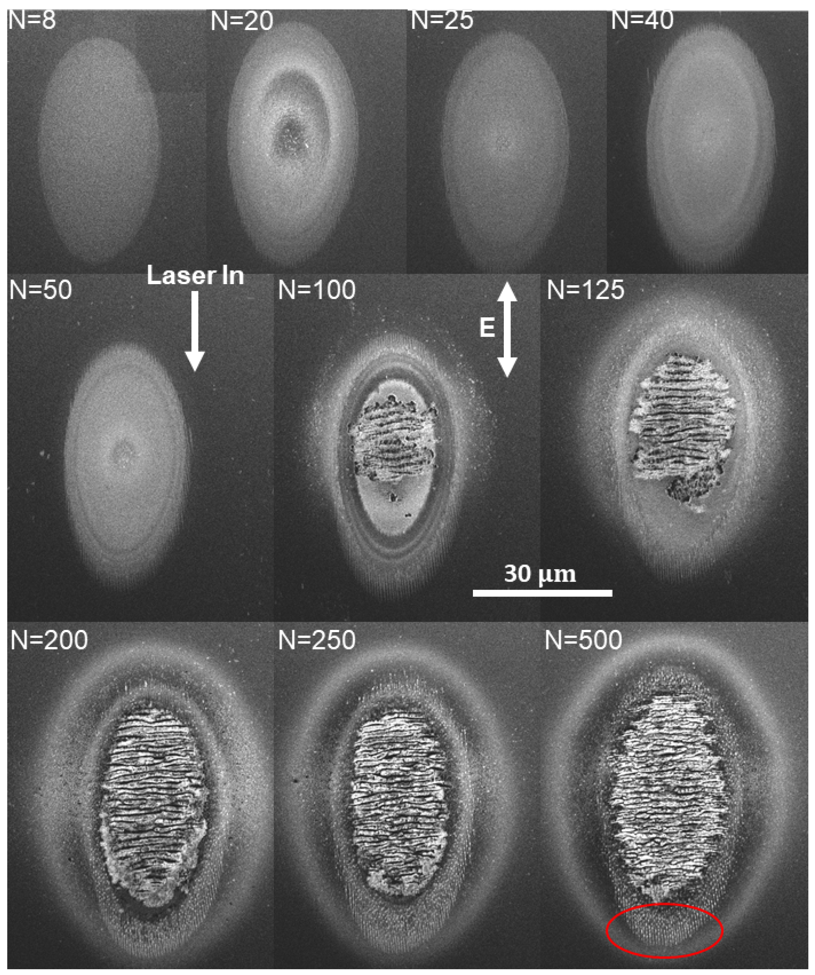 Nanomaterials 11 01192 g007