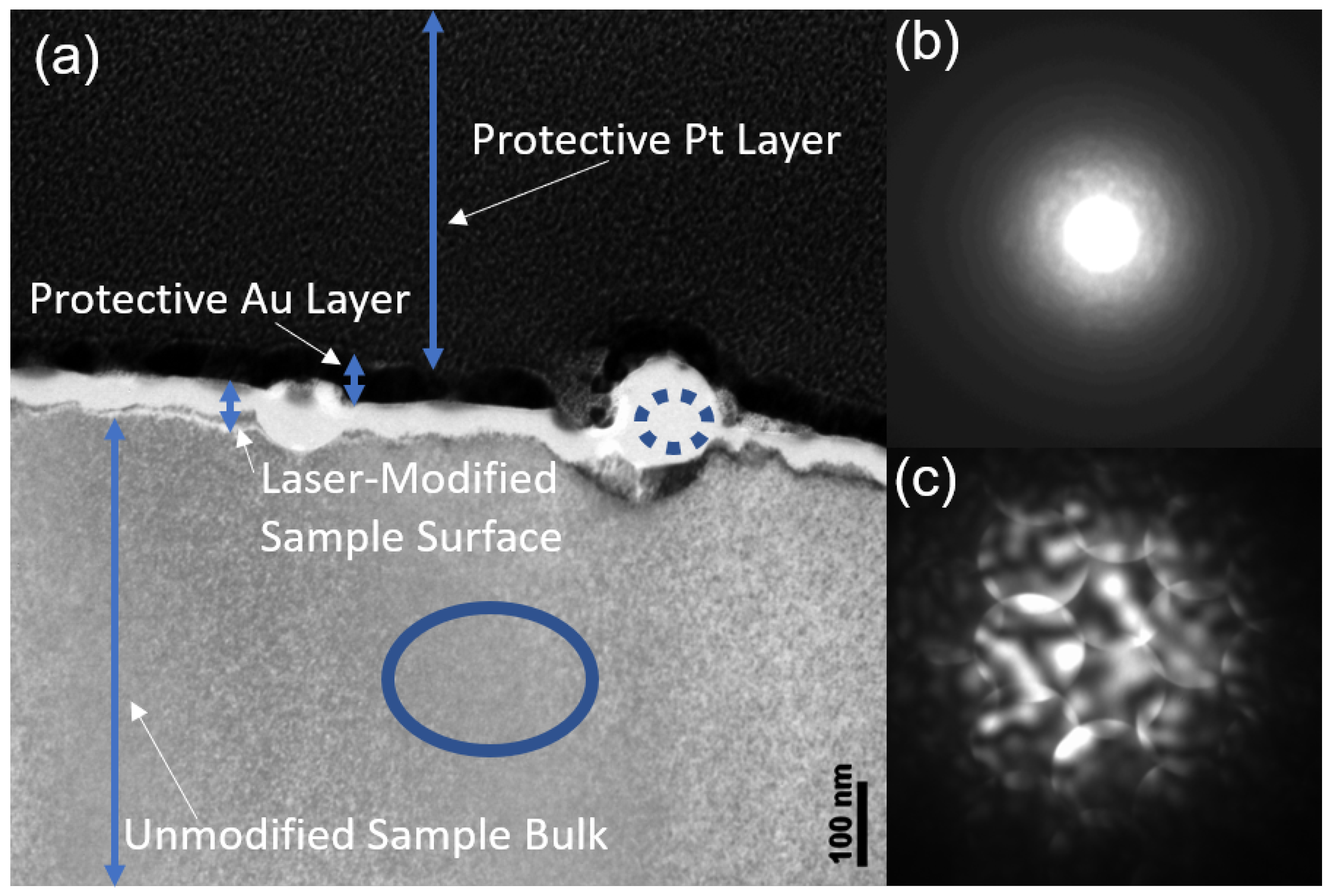 Nanomaterials 11 01192 g010