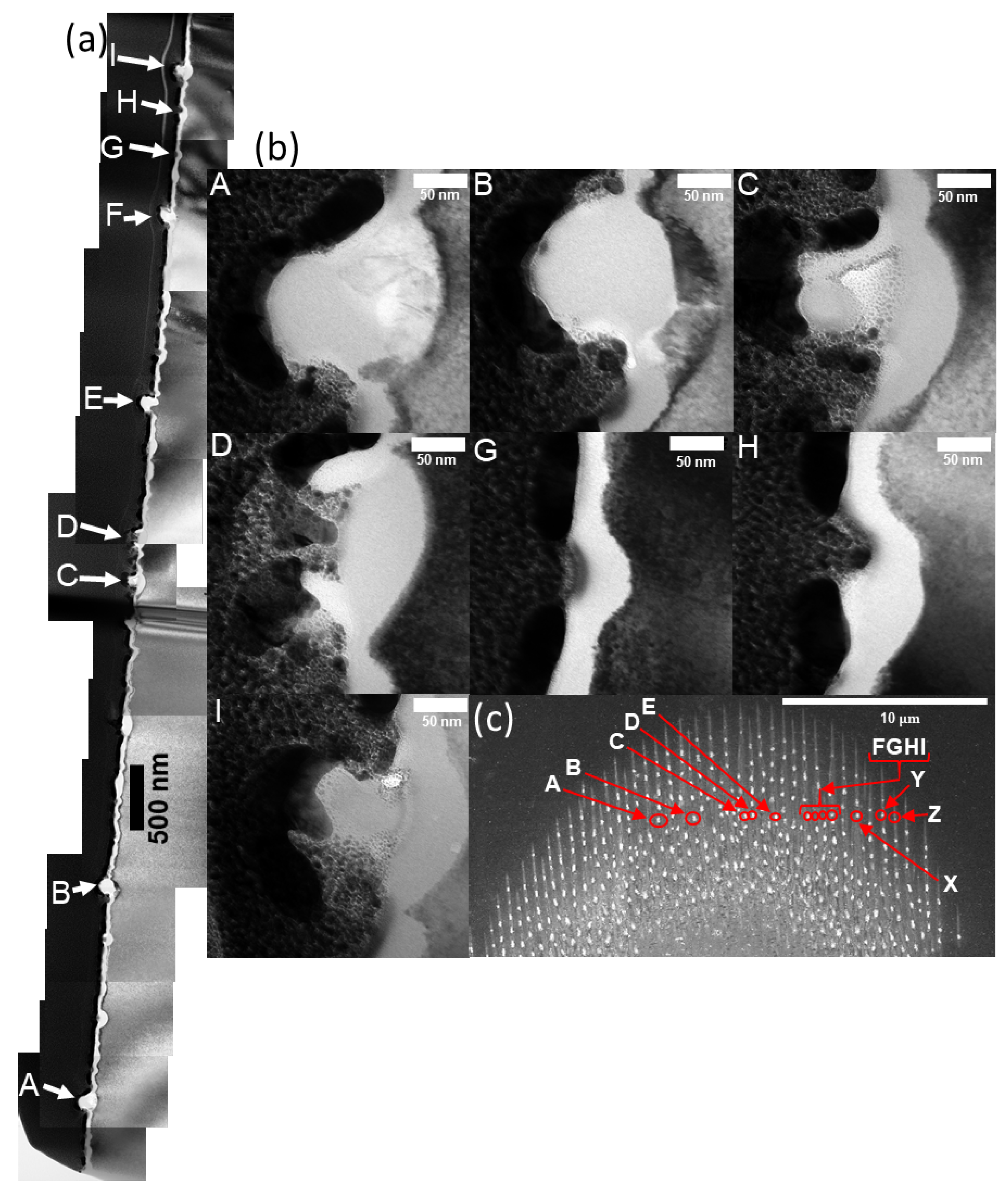 Nanomaterials 11 01192 g011
