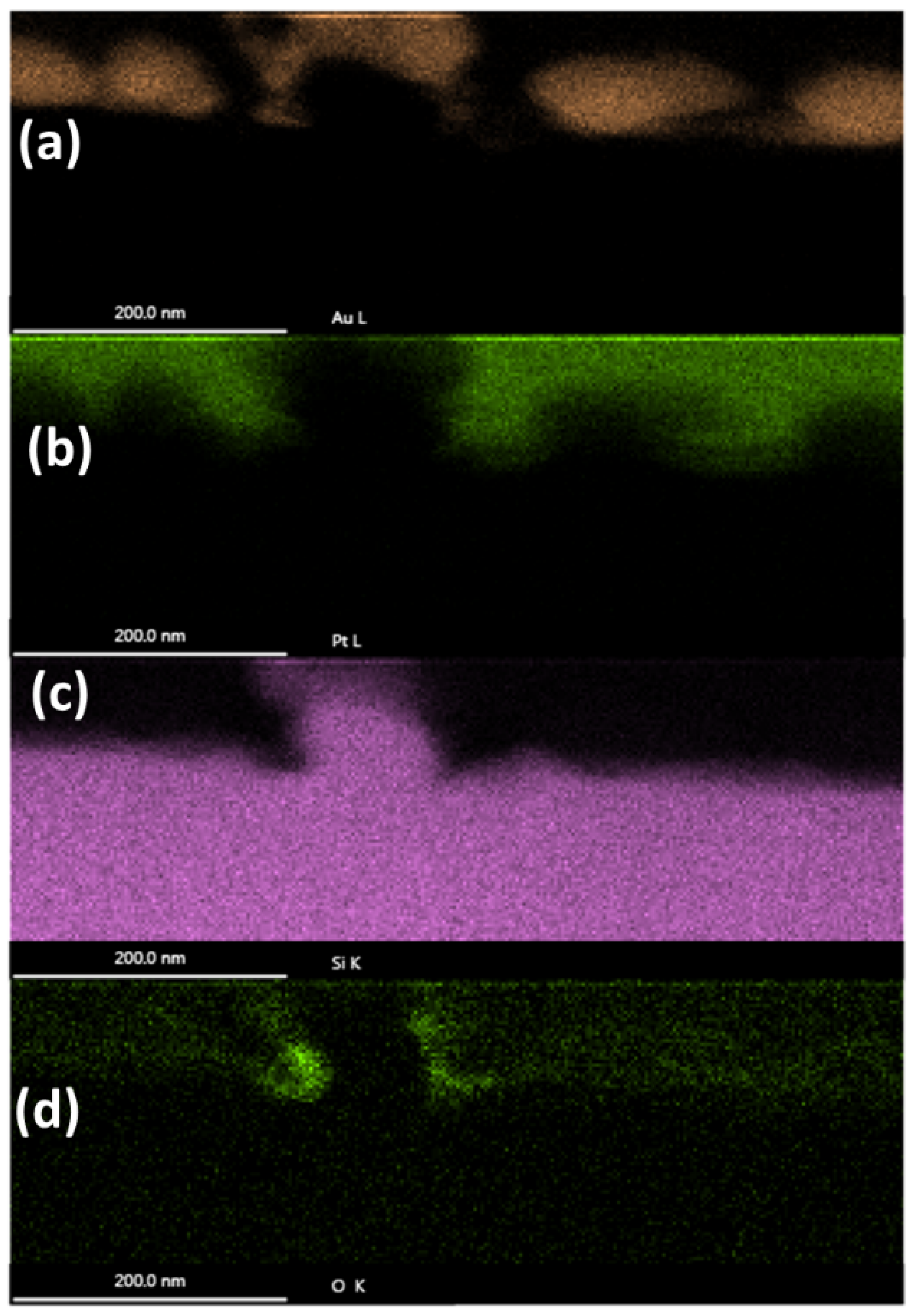 Nanomaterials 11 01192 g012