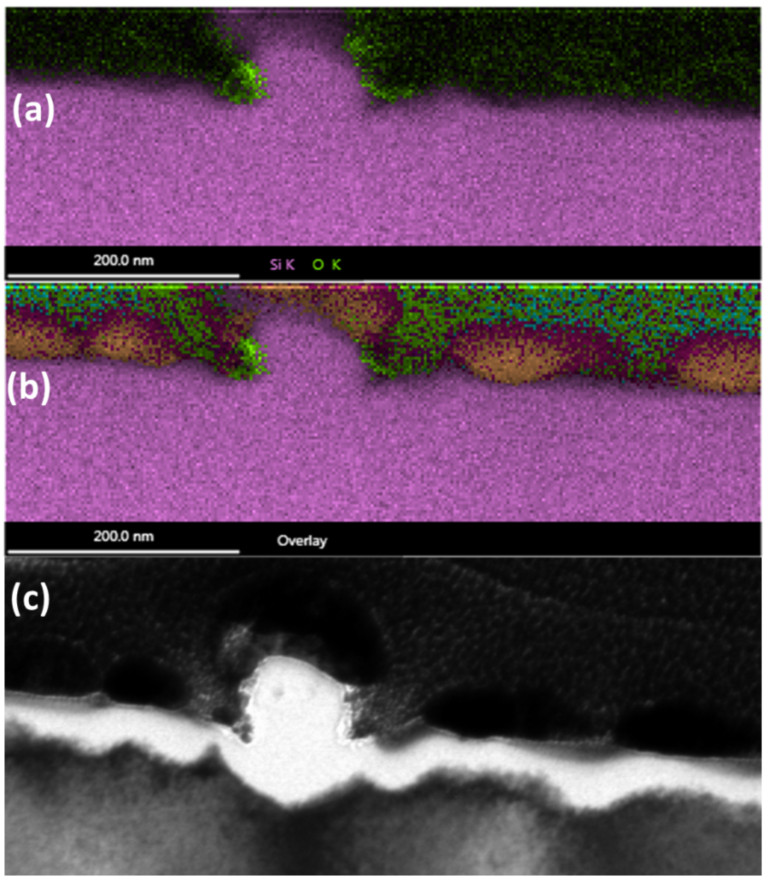 Nanomaterials 11 01192 g013