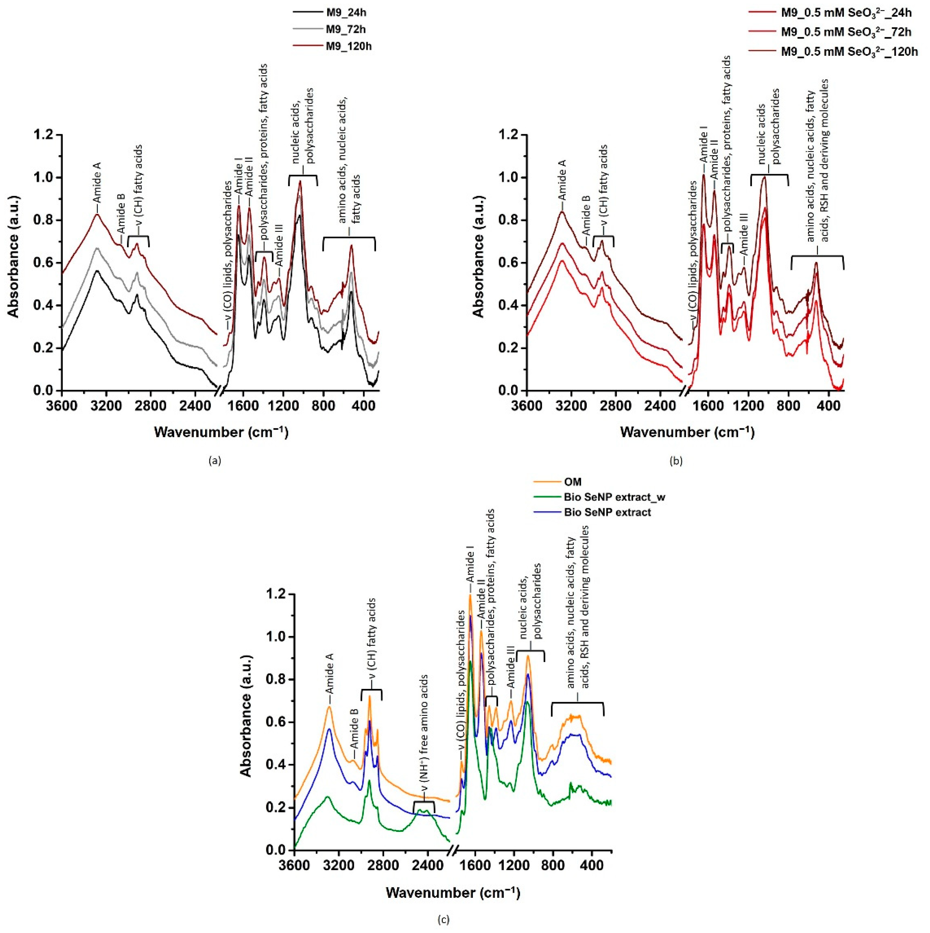Nanomaterials 11 01195 g003 Nanomaterials 11 01195 g003