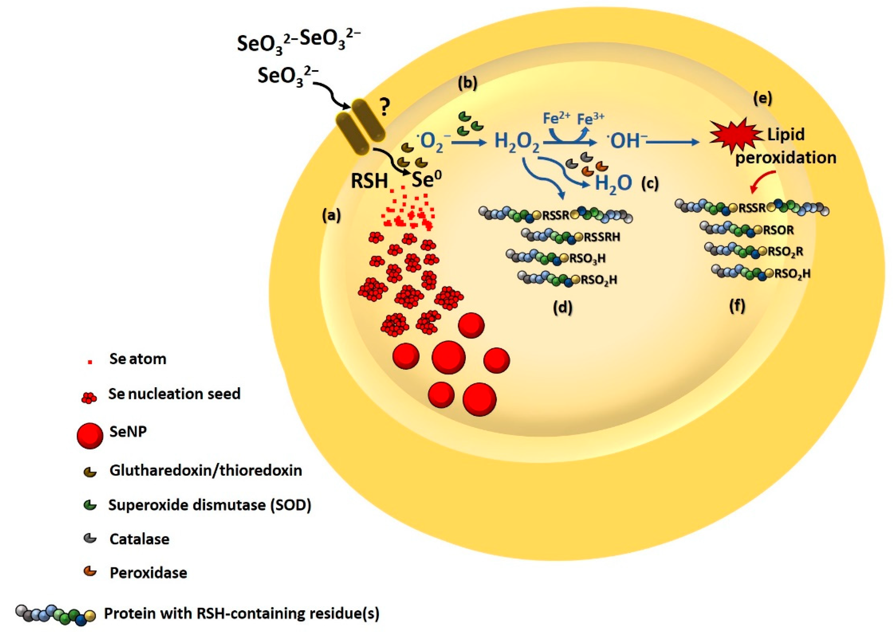 Nanomaterials 11 01195 g004 Nanomaterials 11 01195 g004