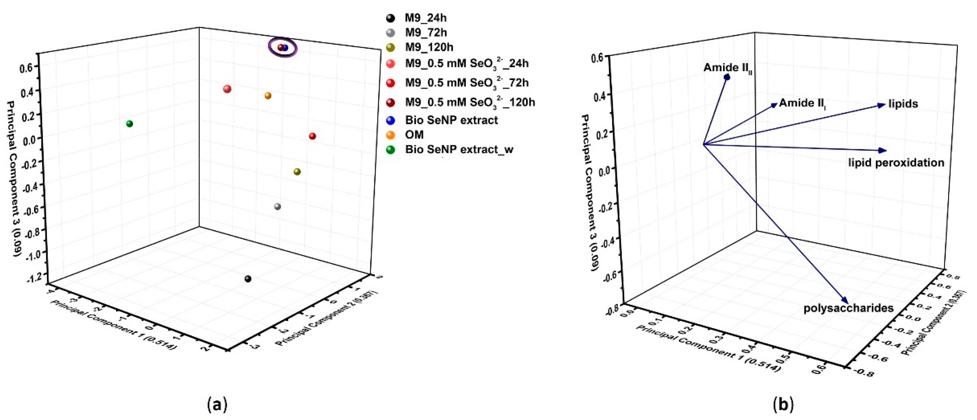 Nanomaterials 11 01195 g005 Nanomaterials 11 01195 g005