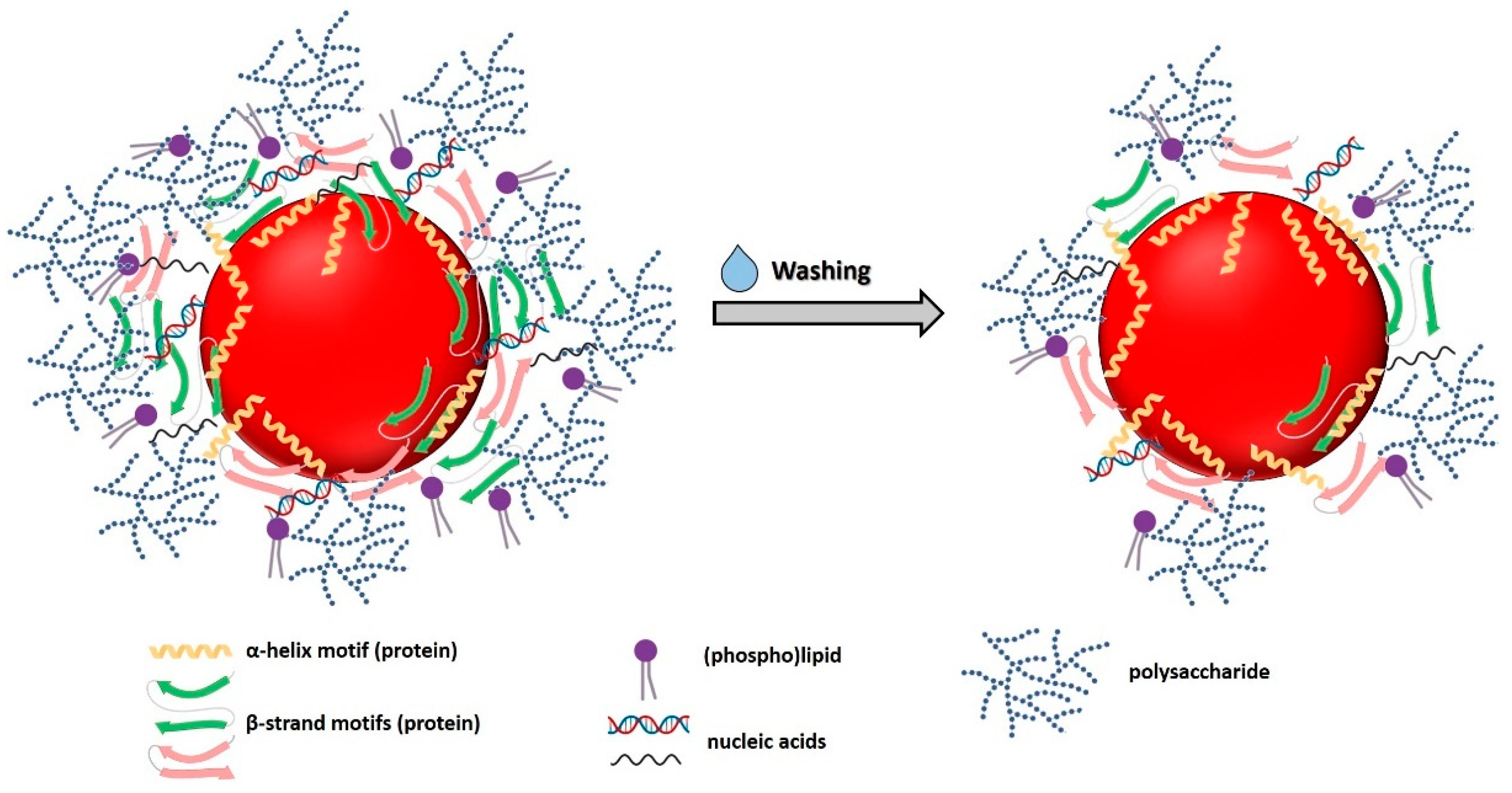 Nanomaterials 11 01195 g006 Nanomaterials 11 01195 g006