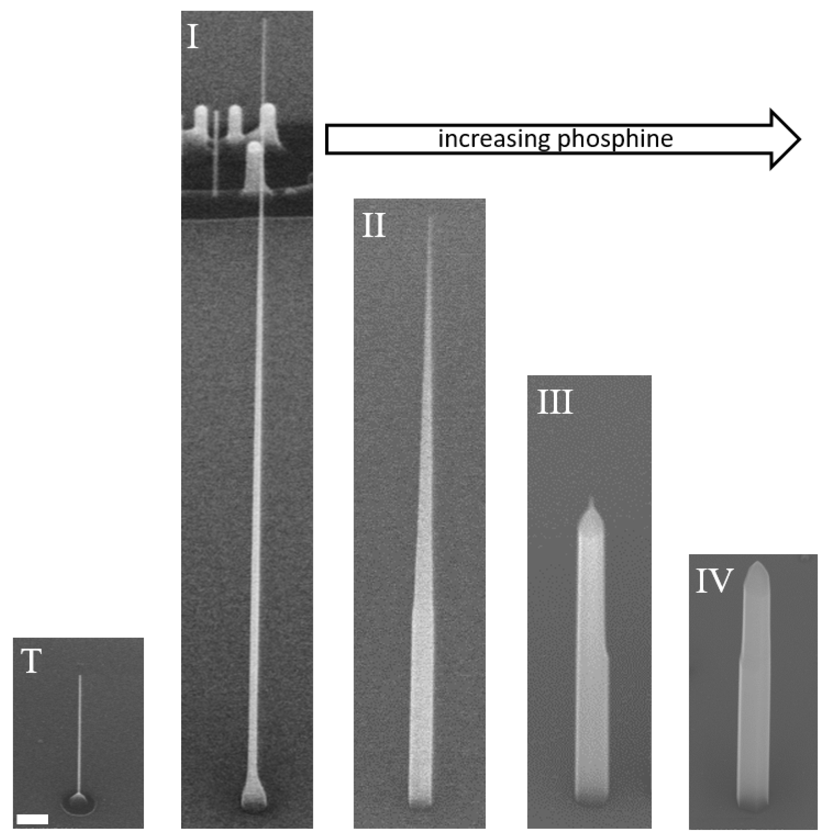 Nanomaterials 11 01201 g004