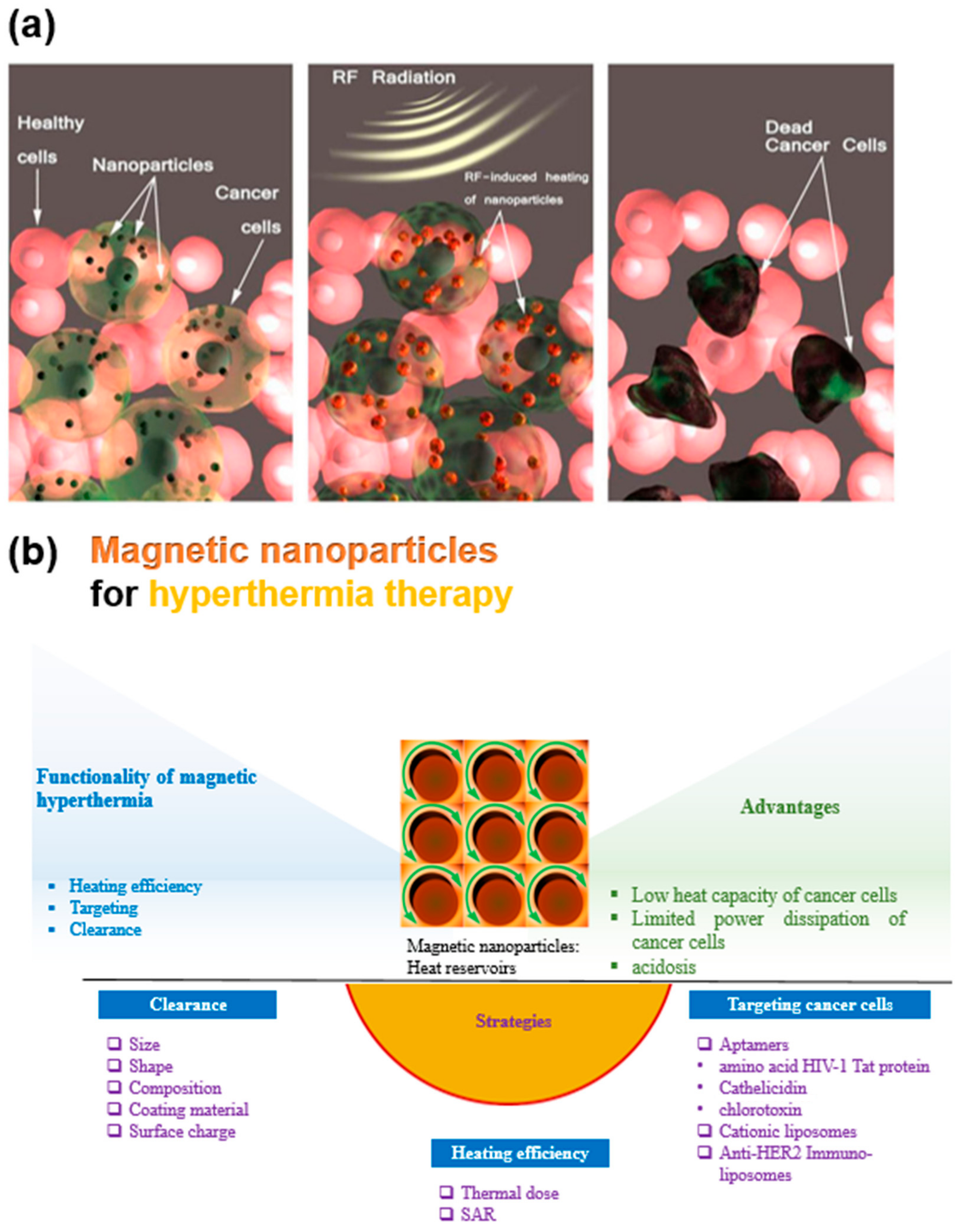 Nanomaterials 11 01203 g001