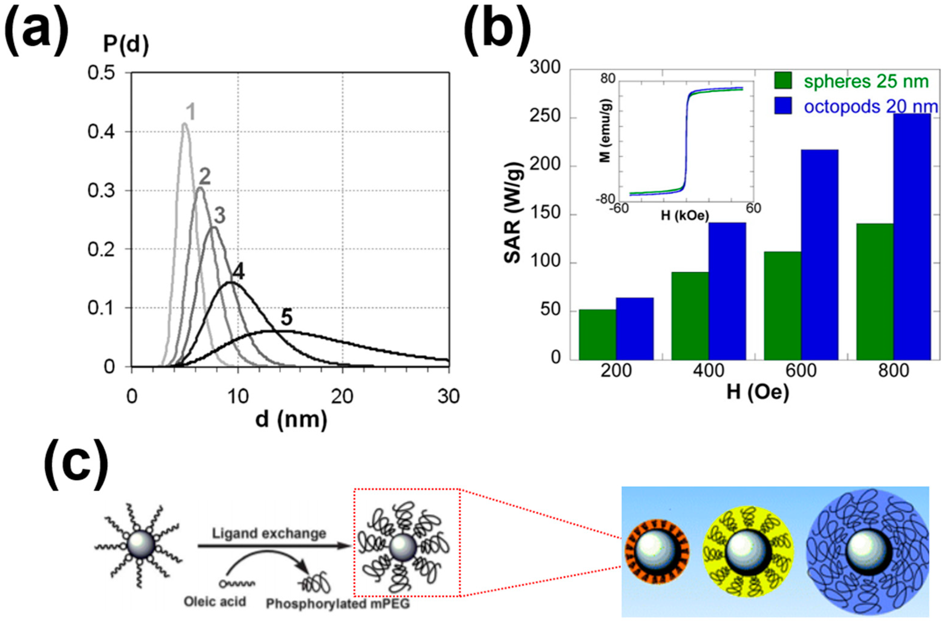 Nanomaterials 11 01203 g002