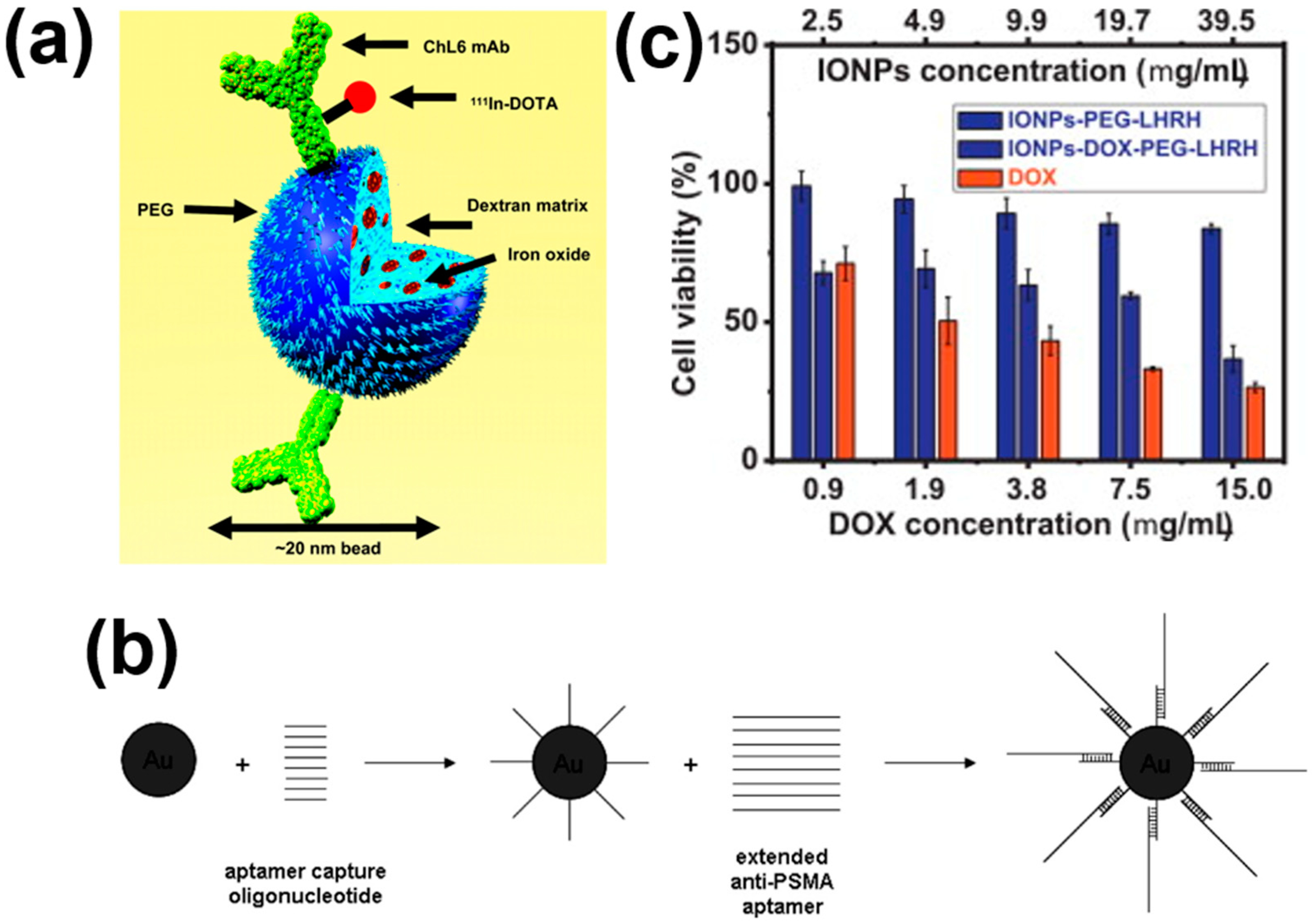 Nanomaterials 11 01203 g003