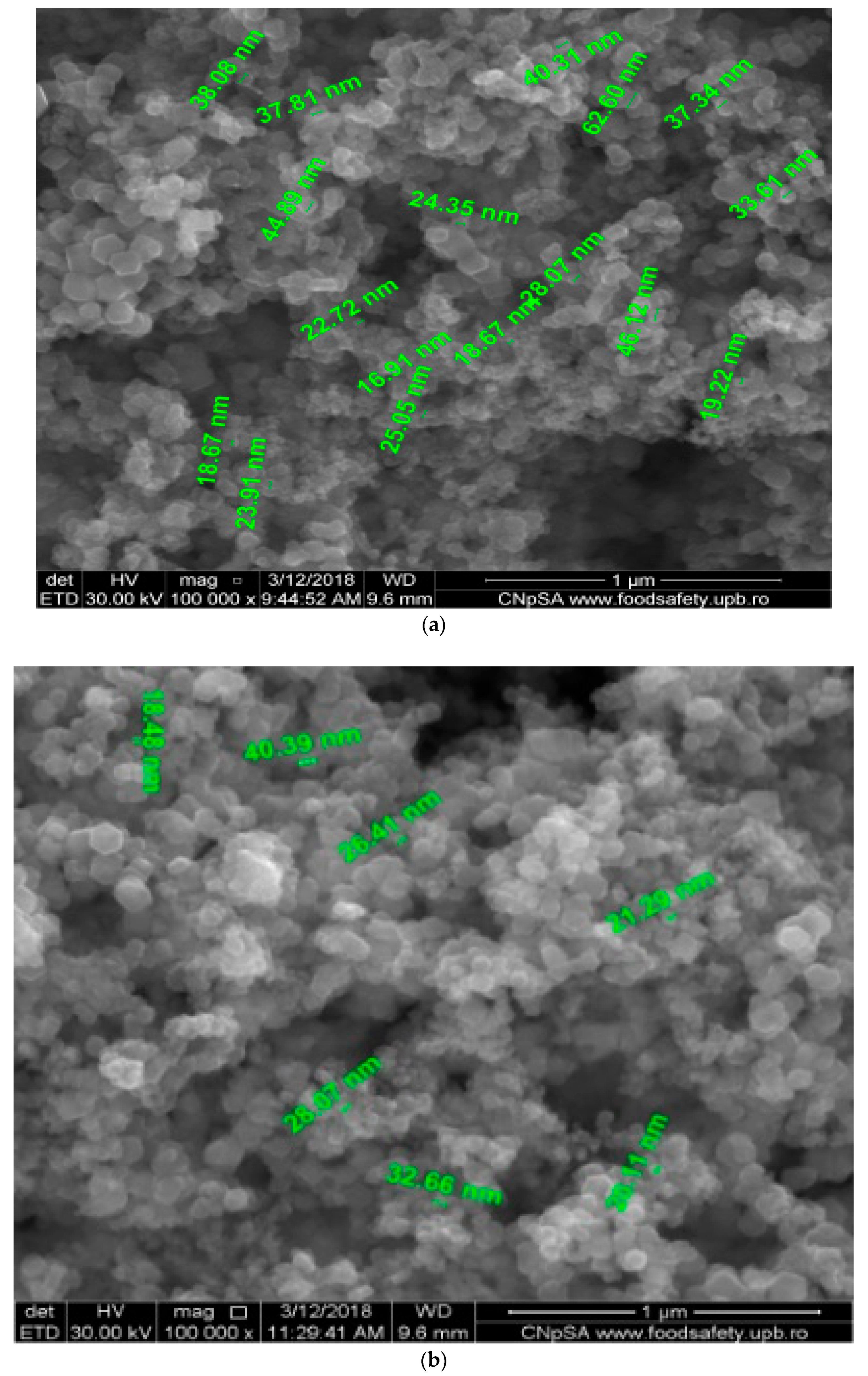Nanomaterials 11 01204 g003a Nanomaterials 11 01204 g003a