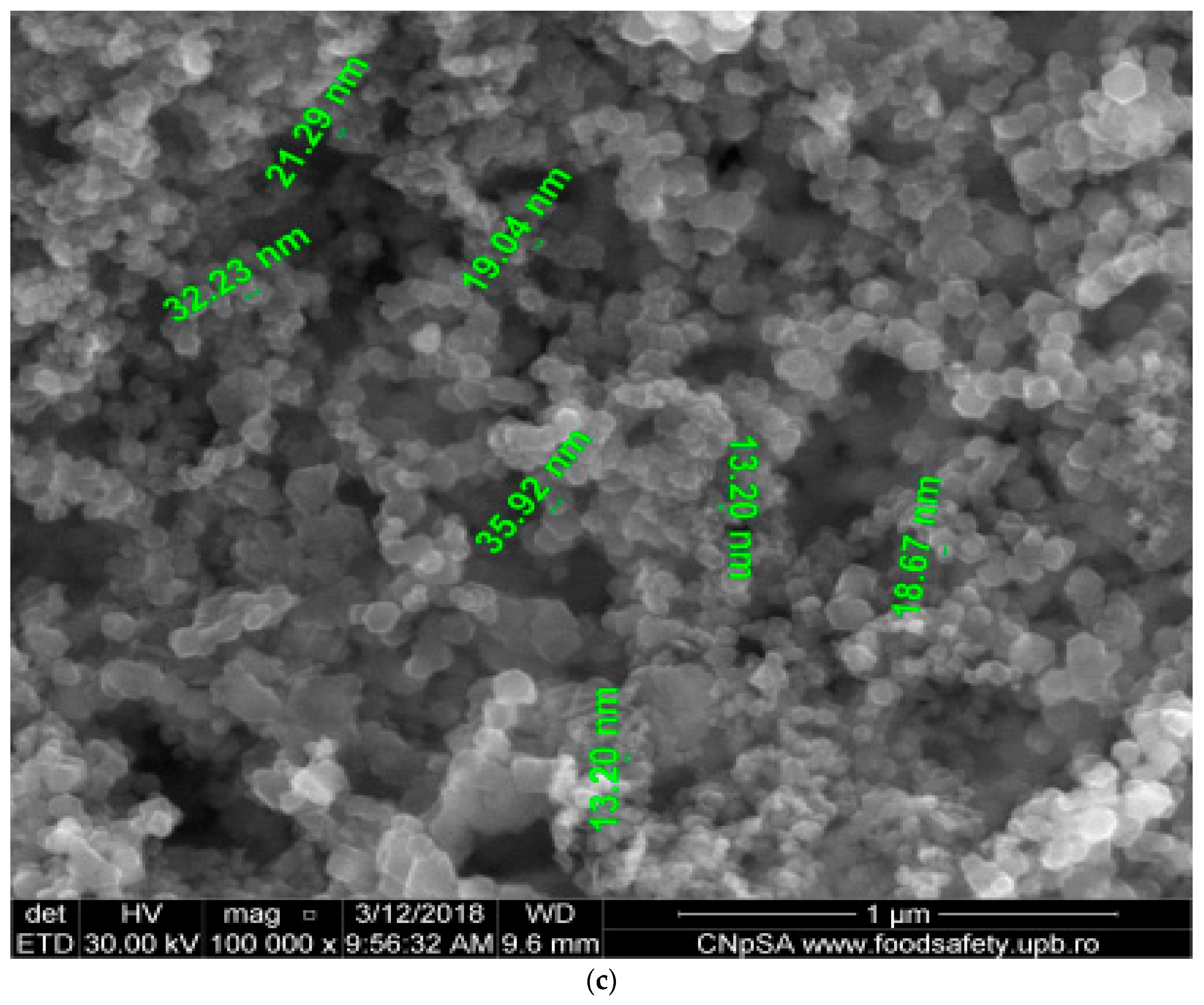 Nanomaterials 11 01204 g003b Nanomaterials 11 01204 g003b