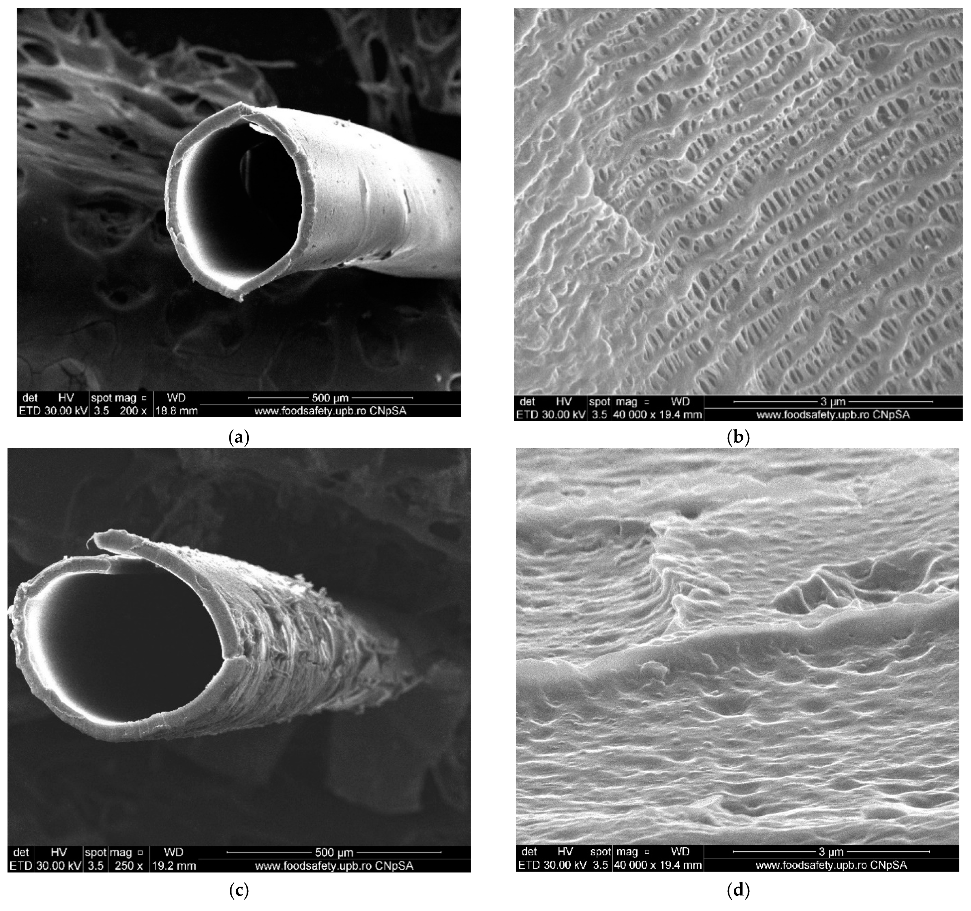 Nanomaterials 11 01204 g008 Nanomaterials 11 01204 g008